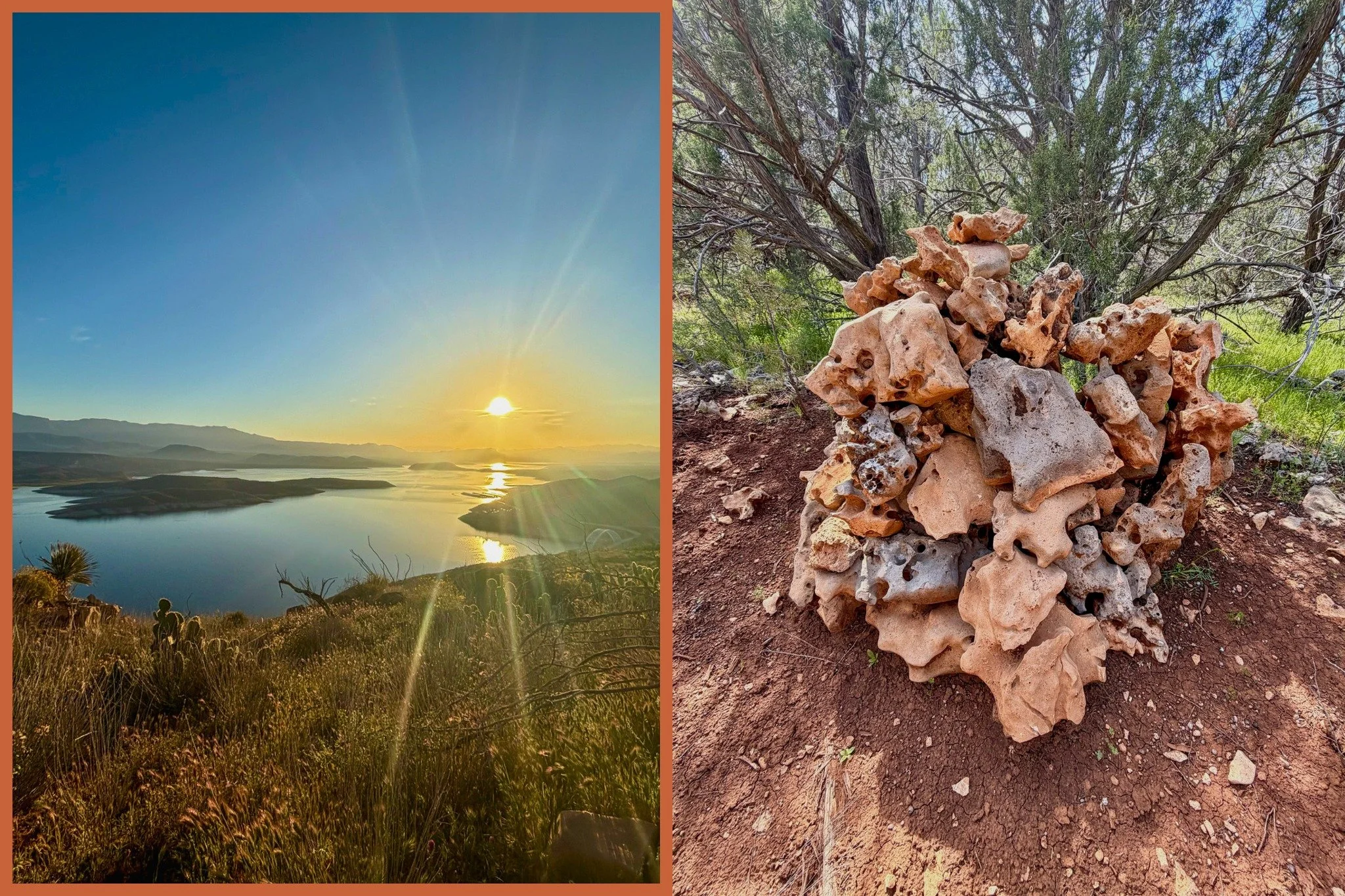 Checking in from the Arizona Trail miles 348 - 458. This segment was TOUGH. The elevation gain and loss was reminiscent of my time on the Appalachian Trail and the wilderness zones (Four Peaks and Matazal) added spice to the actual hiking conditions.