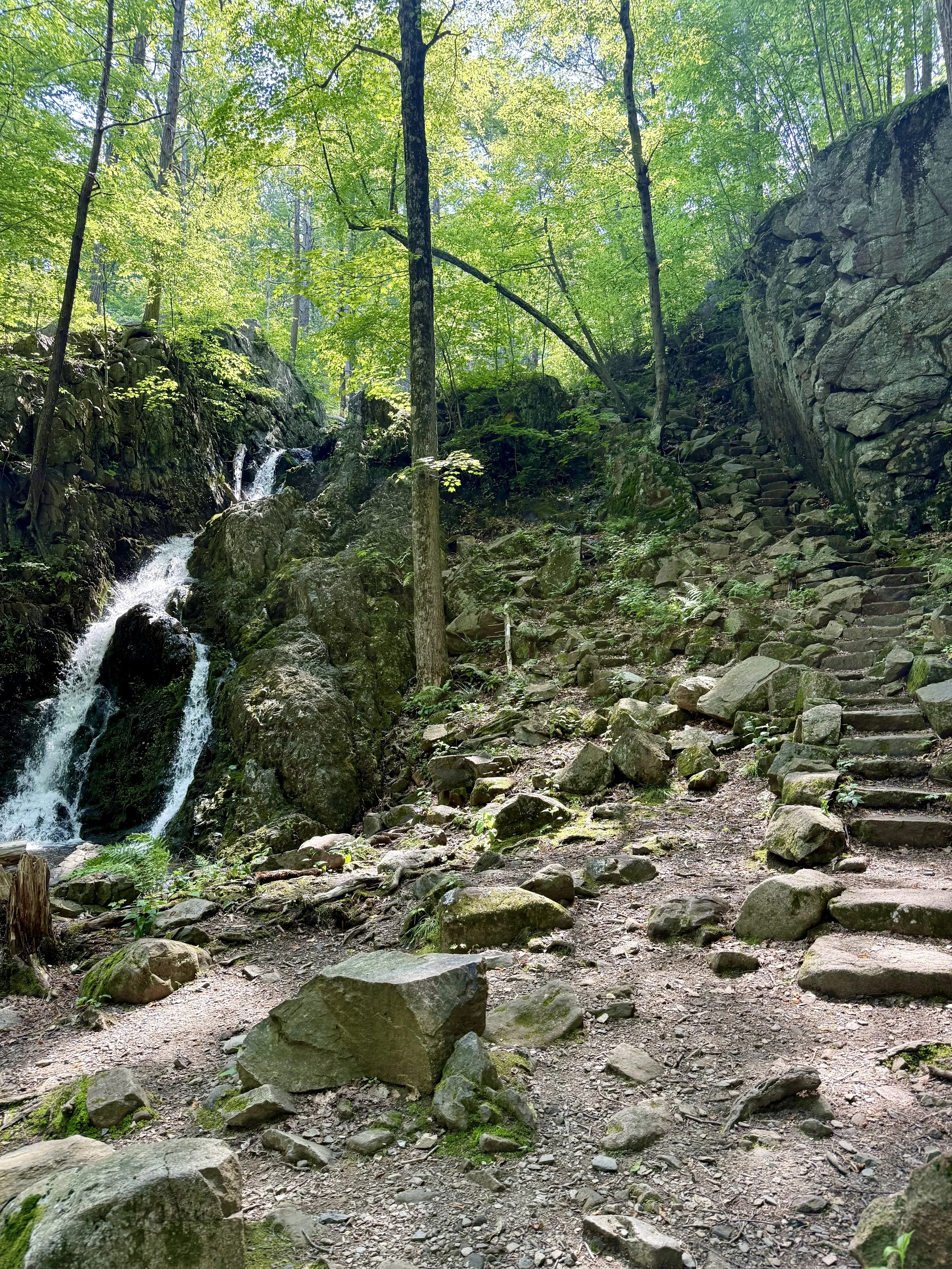  Stone stairs, a common occurrence in NY 