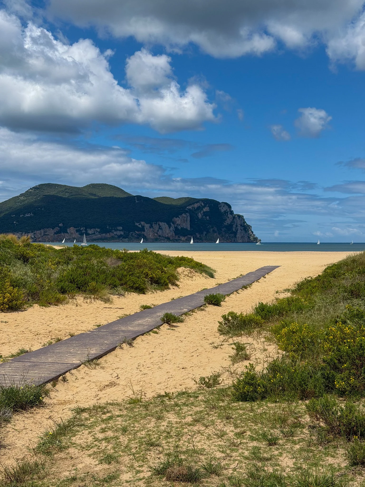 Camino de Santiago del Norte