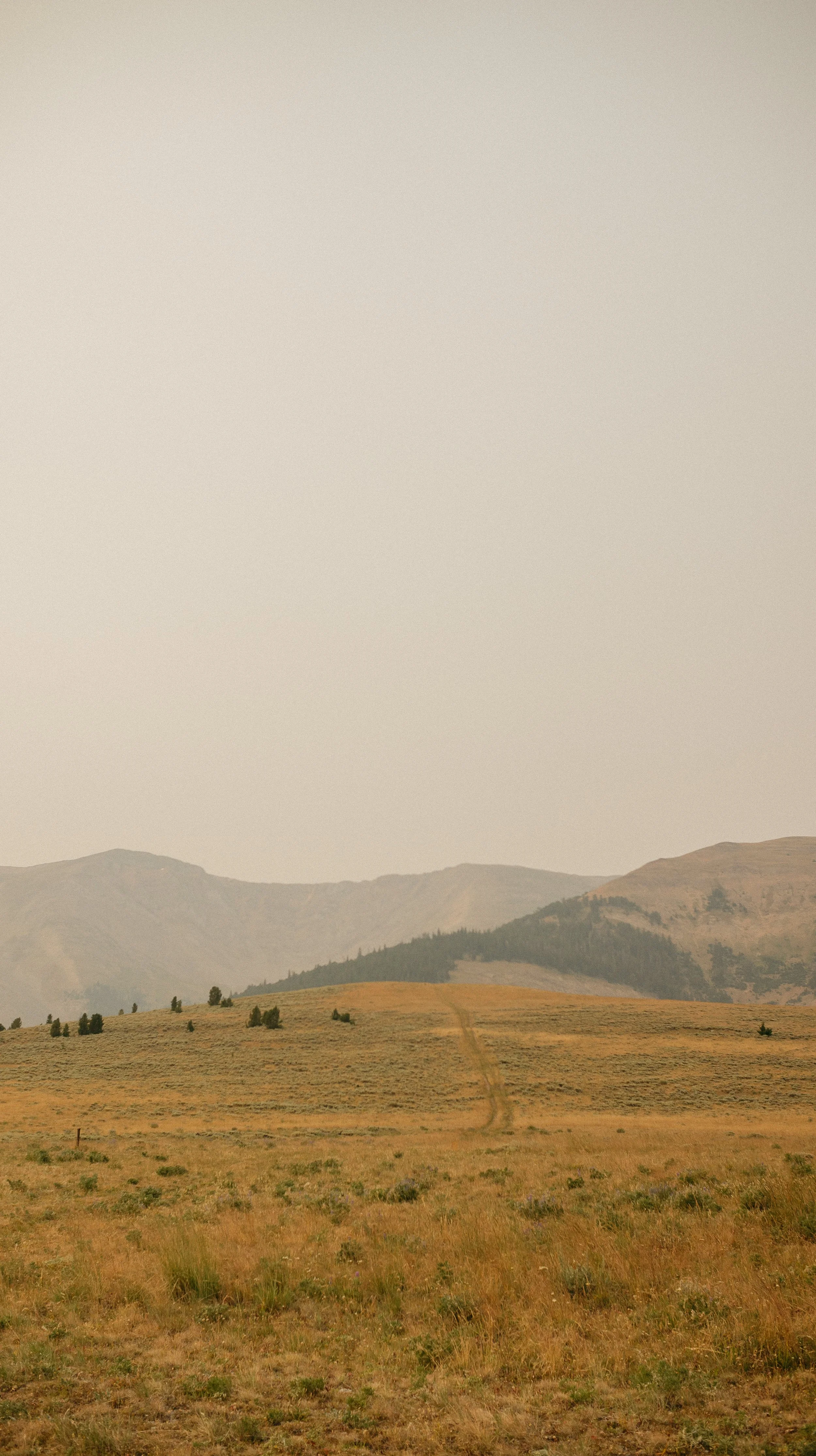 Open views over Smokey cattle country