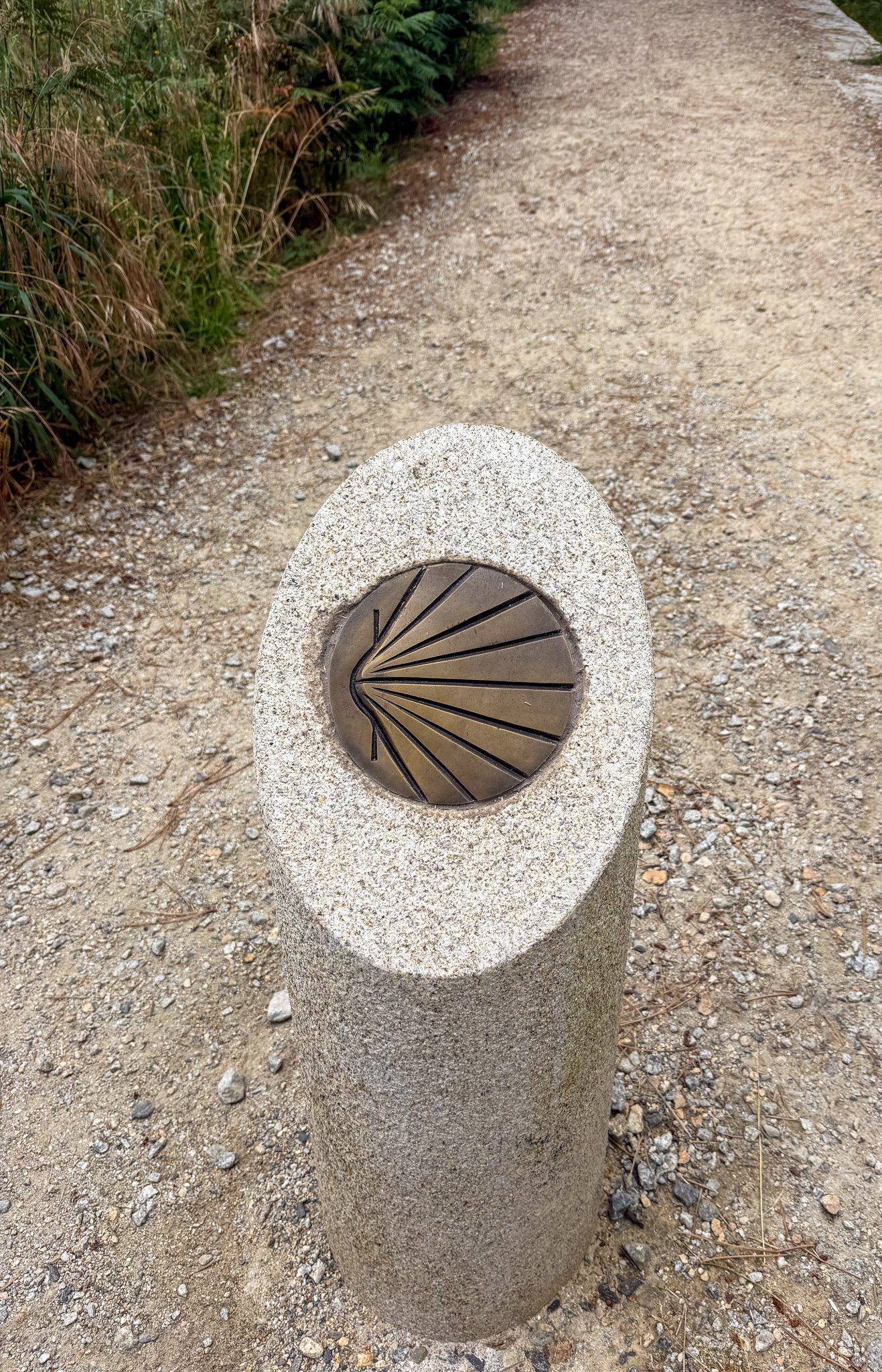 Shells