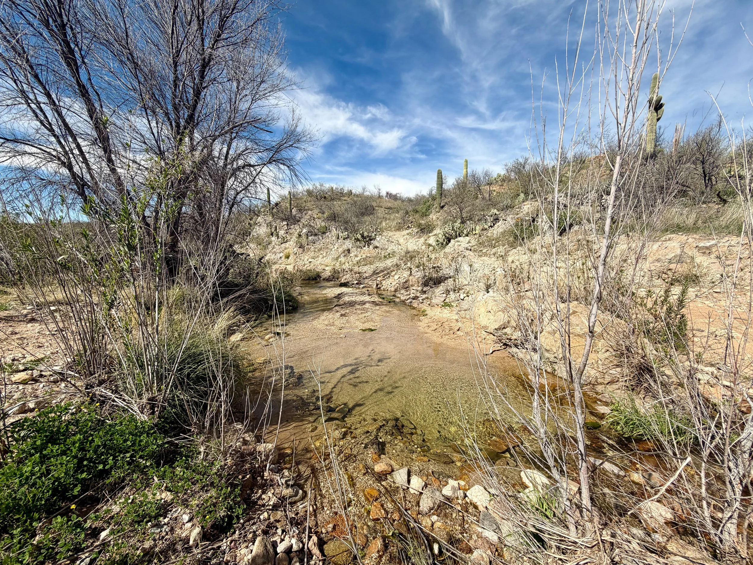  Rare but appreciated natural water sources 