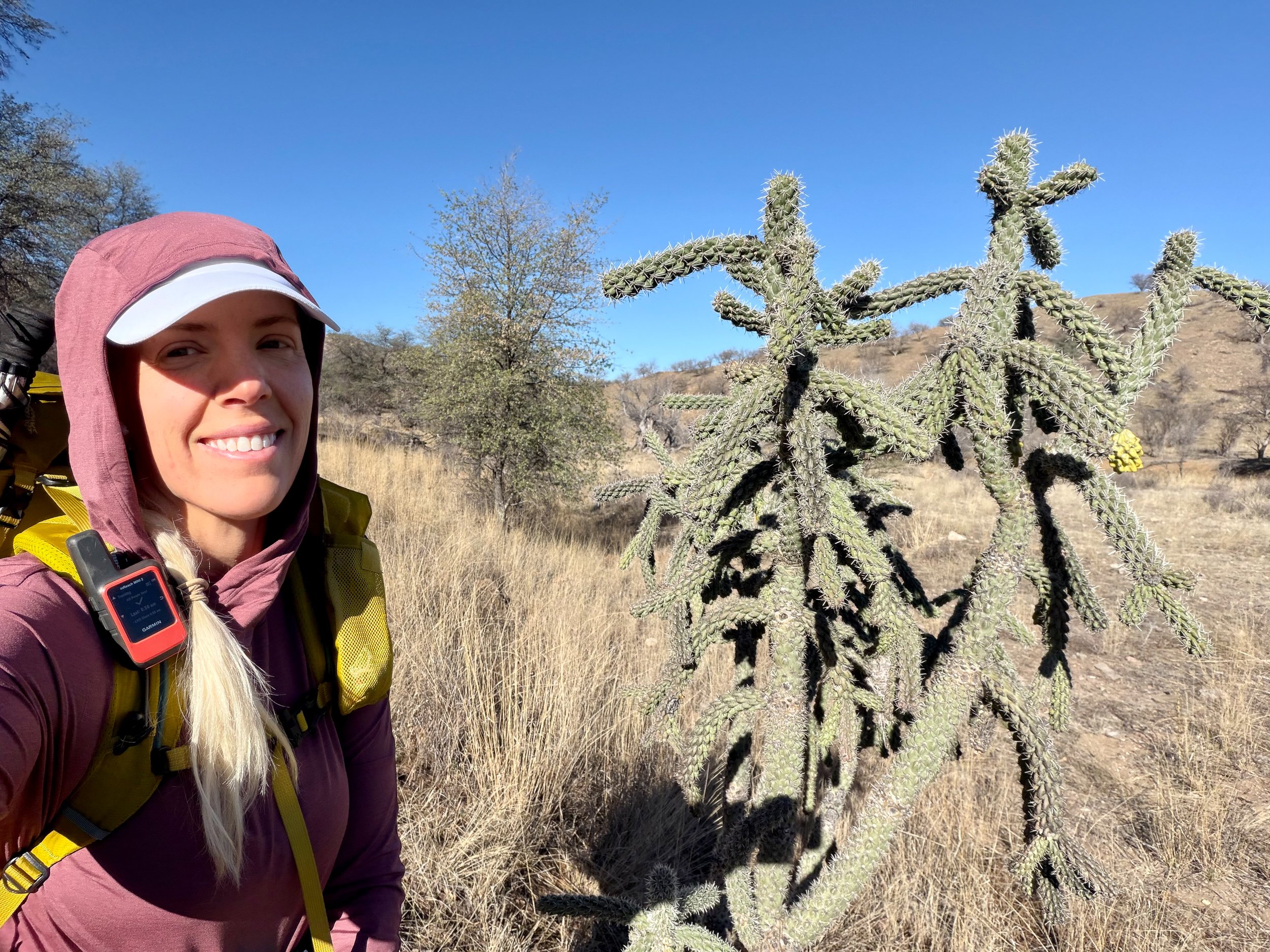  Cactus as tall as me 
