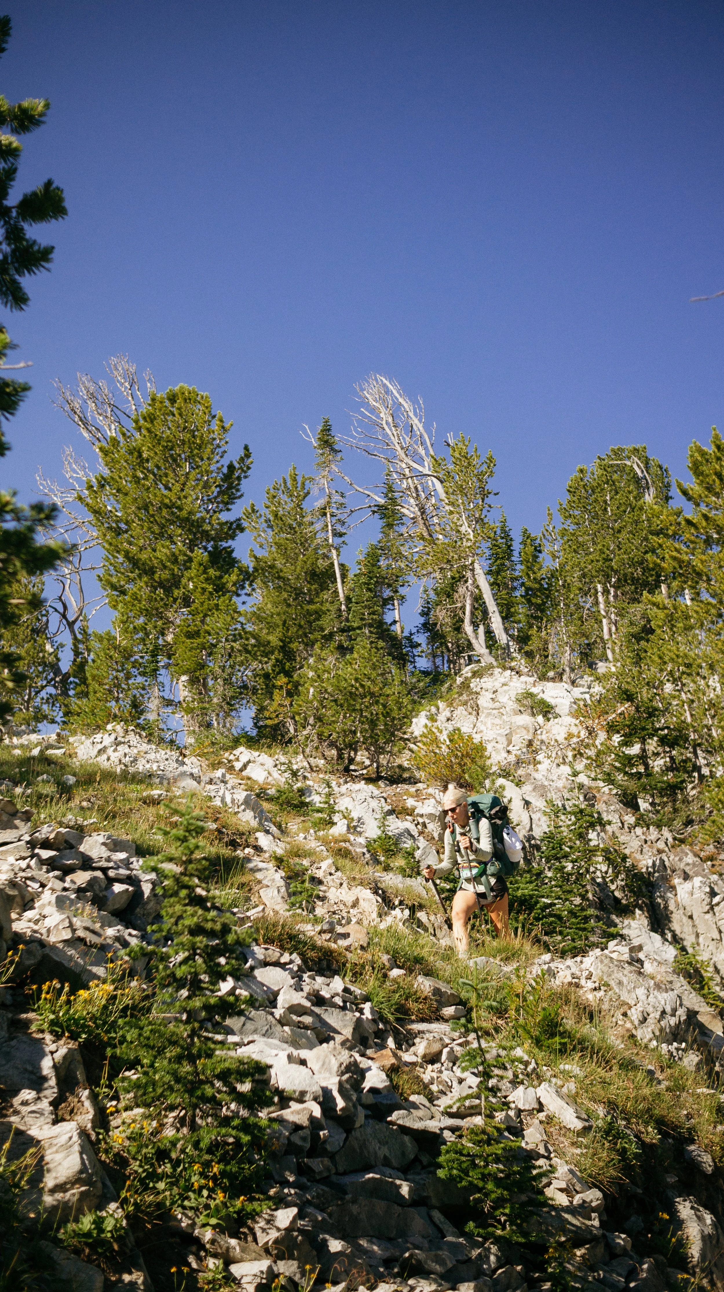Climbing