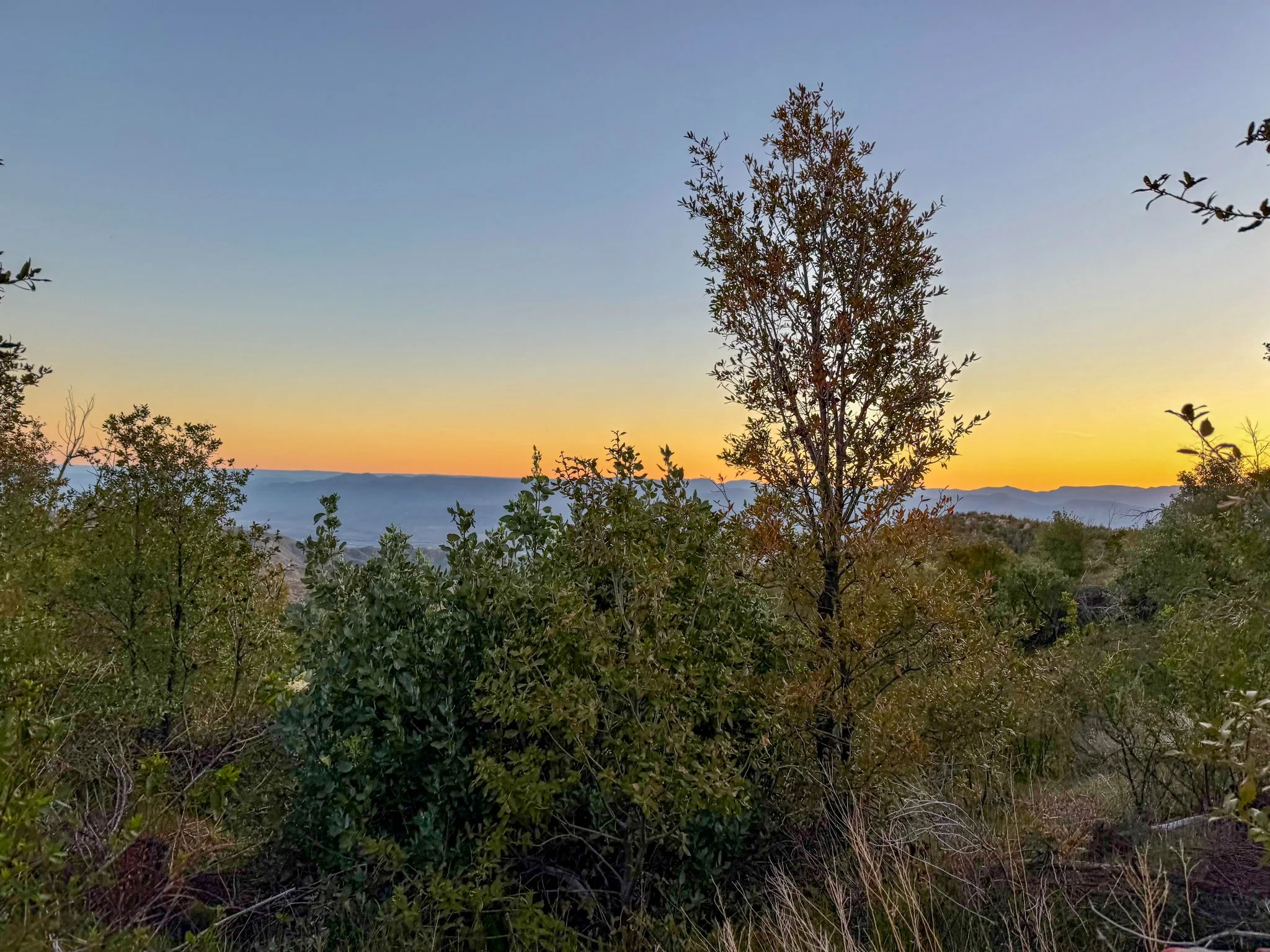 Sunrise from my campsite 