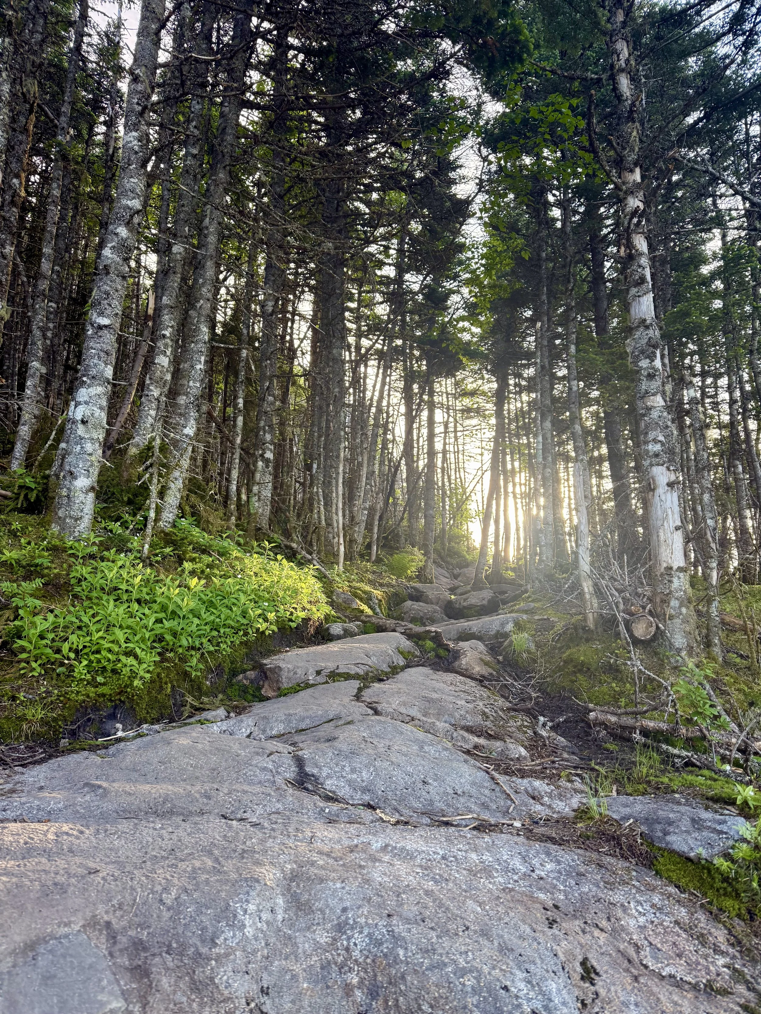  Perfect morning on Mount Washington summit day 