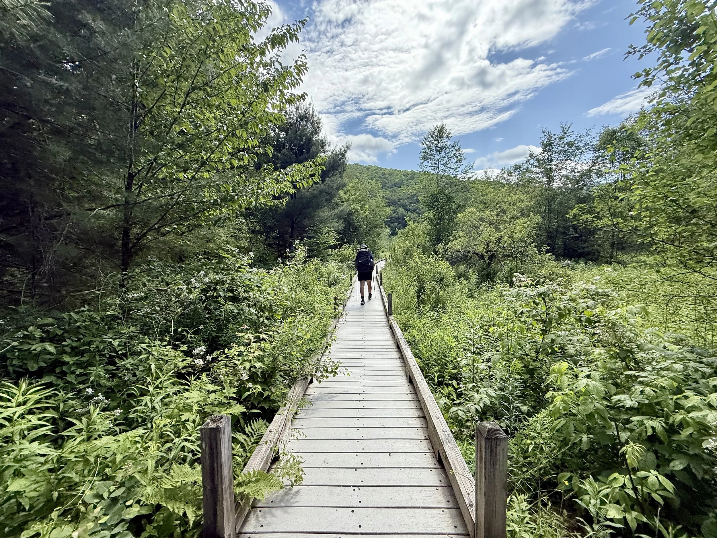  Thankful for boardwalks through wetlands 