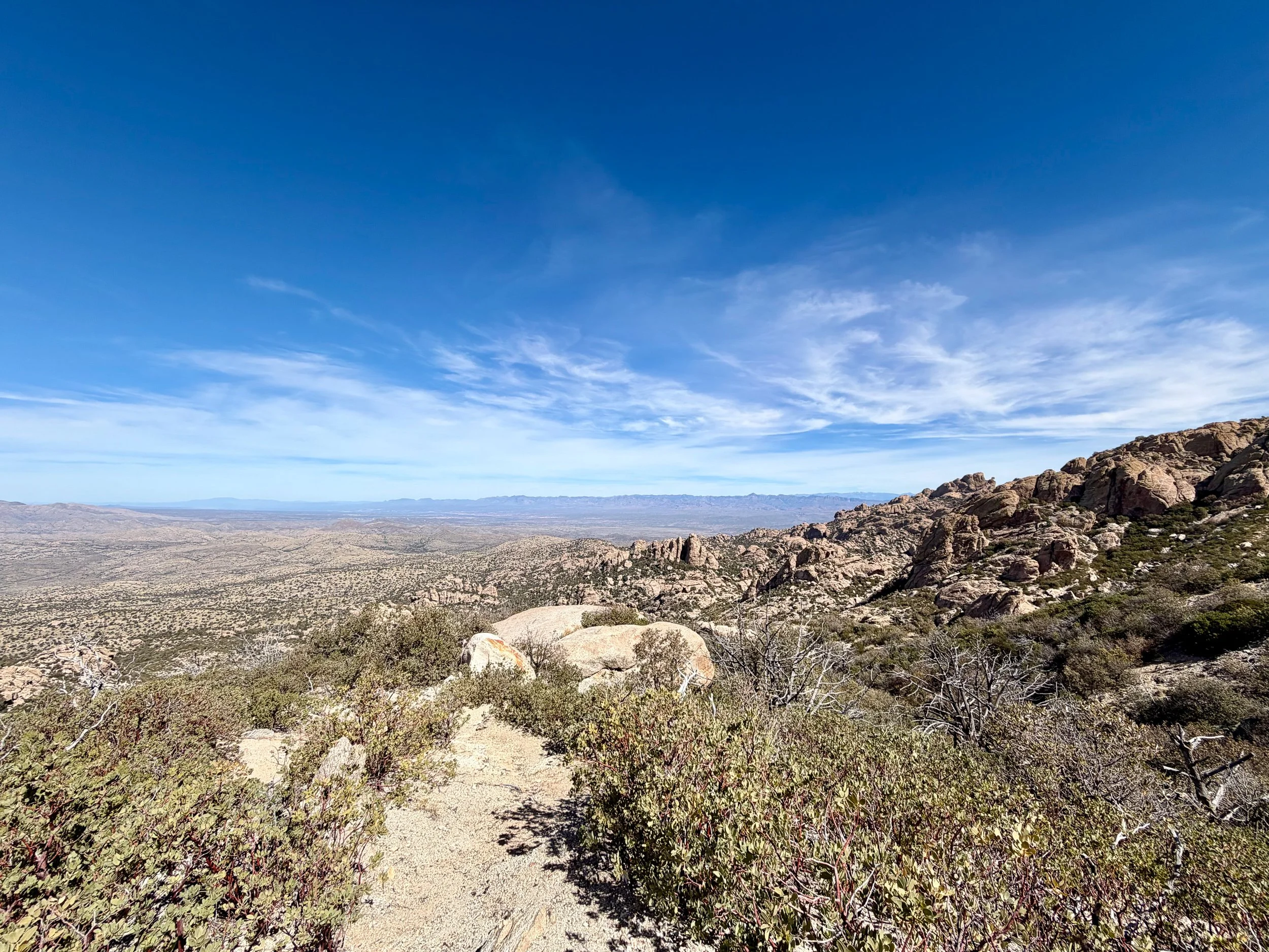  Rocky outcroppings on the descent from Mica Mountain 