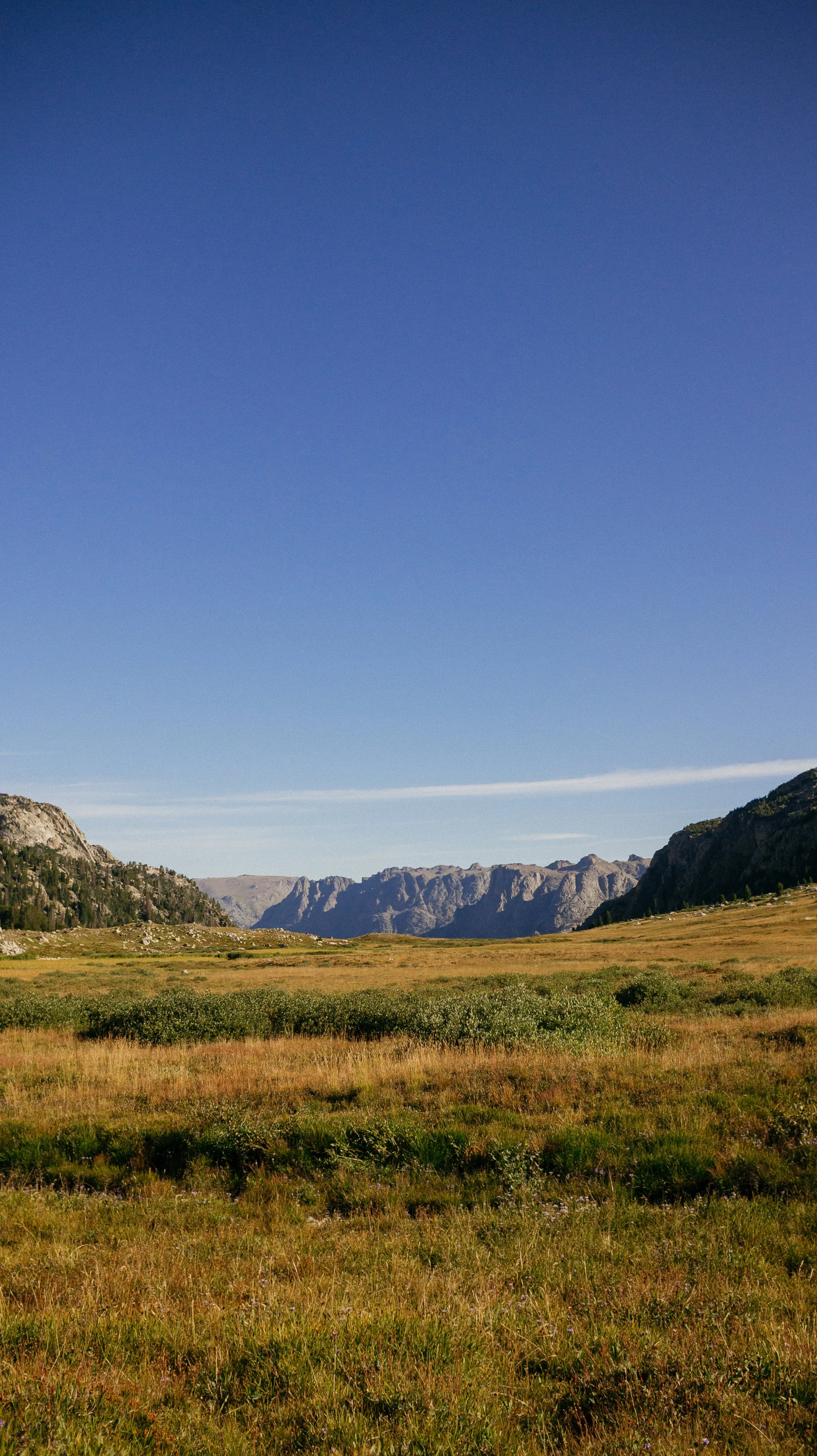 Near Summit Lake