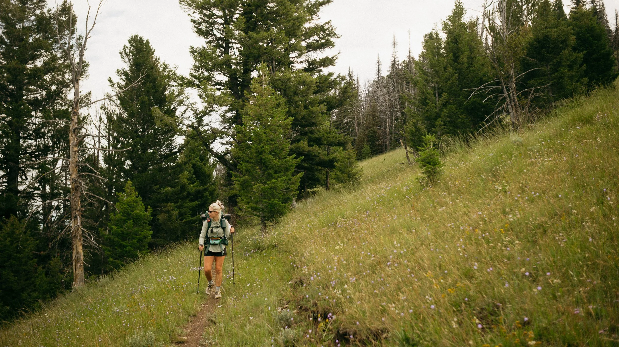 Continental Divide Trail: Helena - Butte