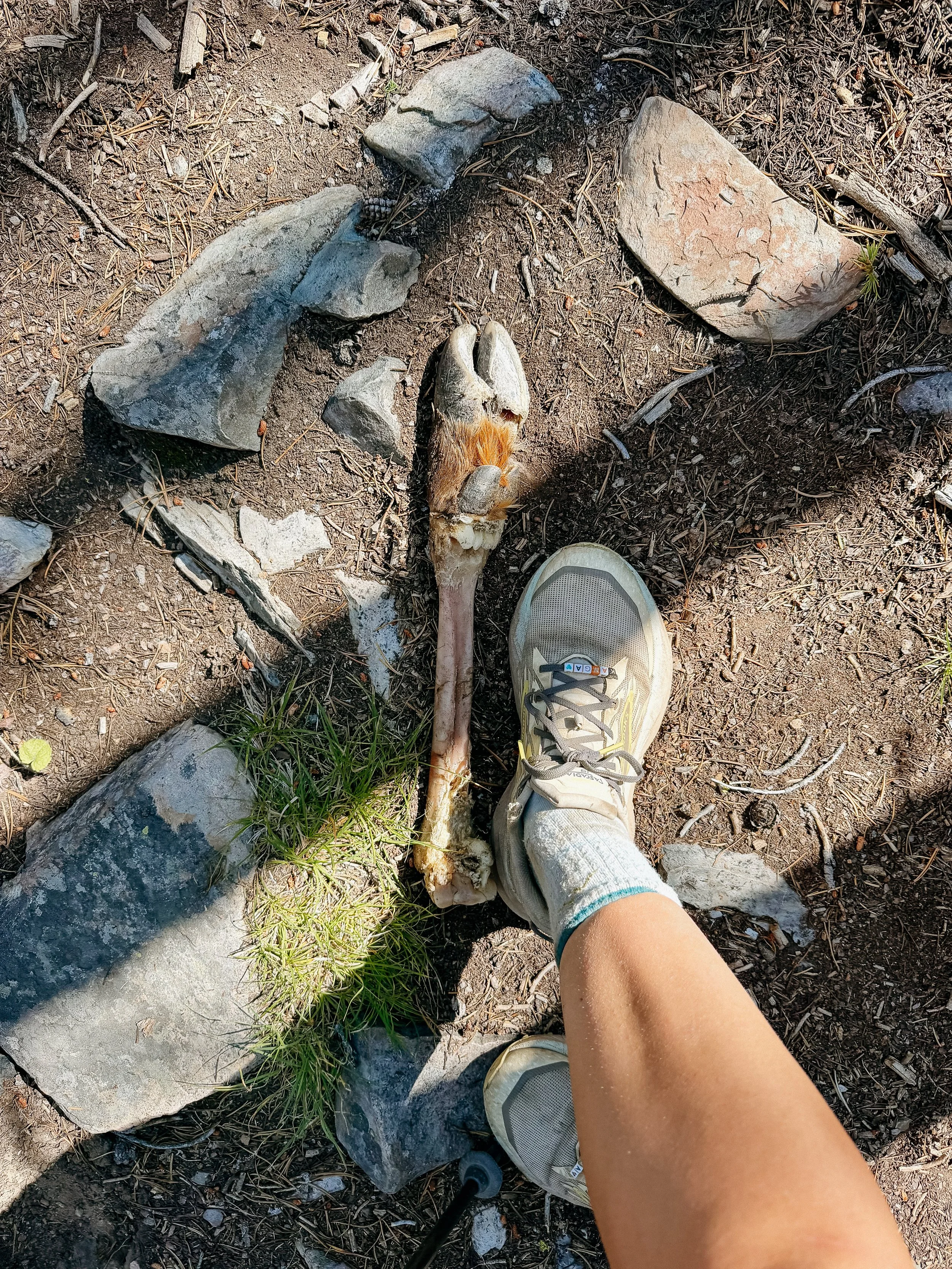 Trail treasures