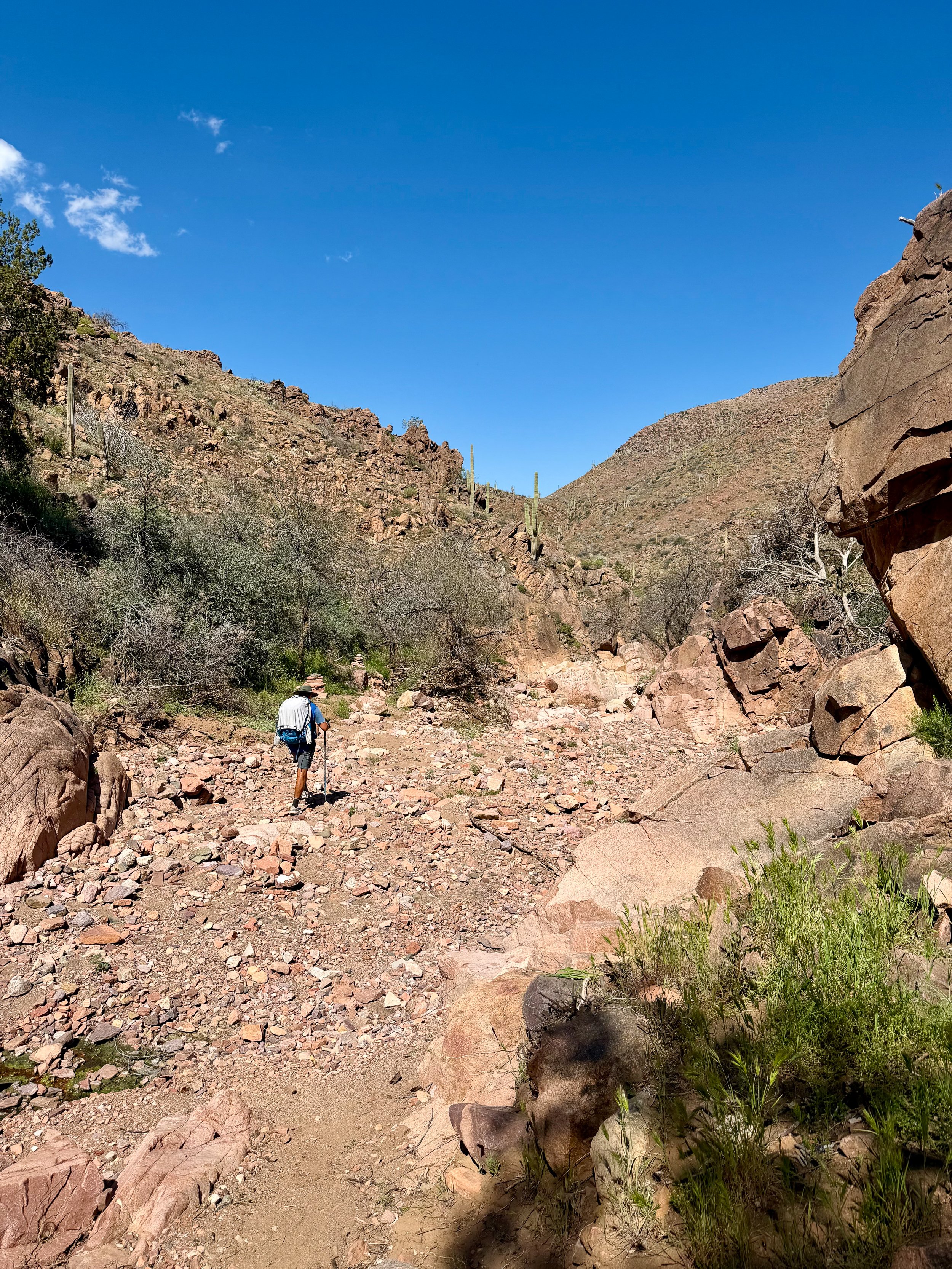  The very frustrating wash 