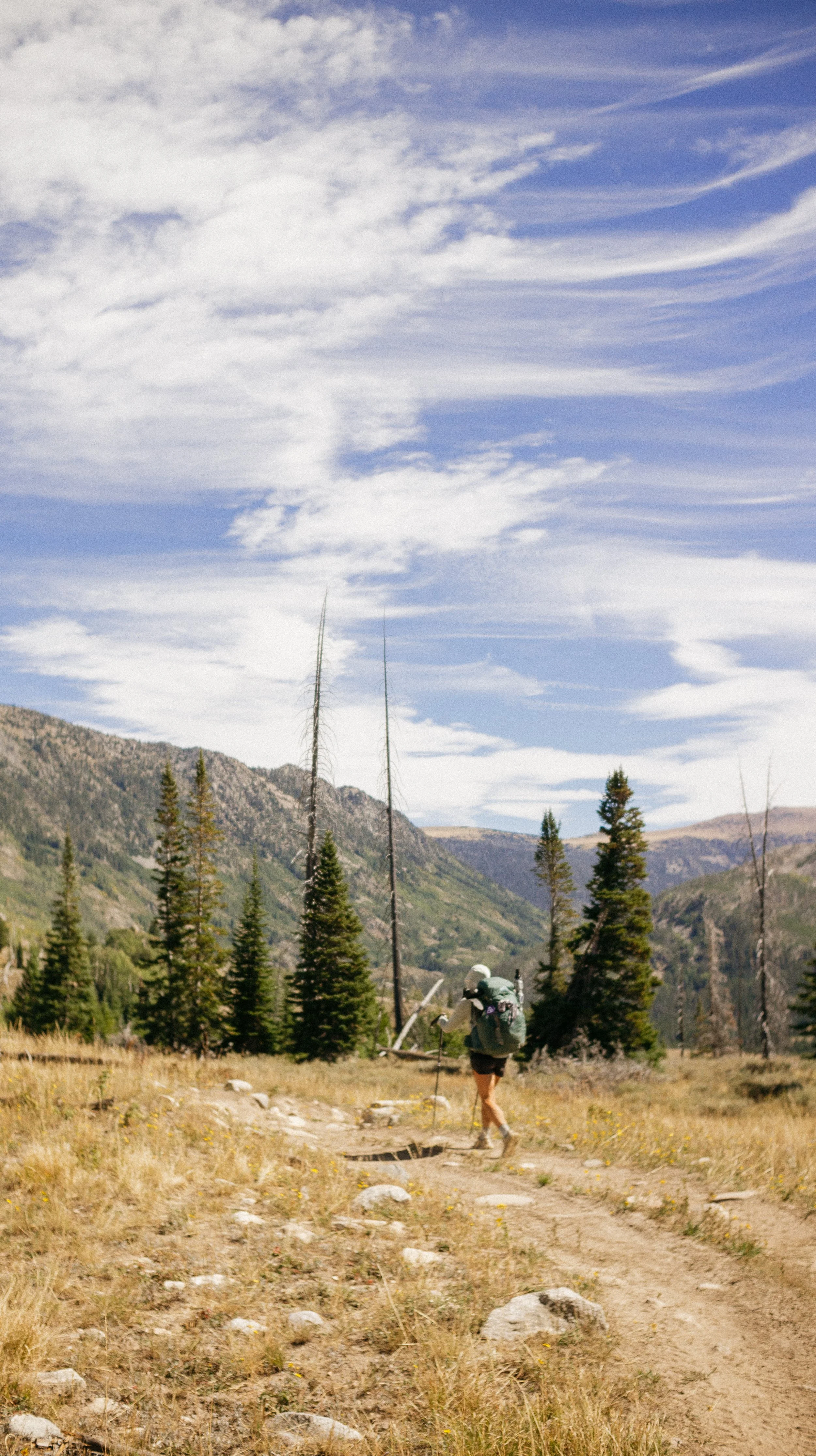 Along the ridge