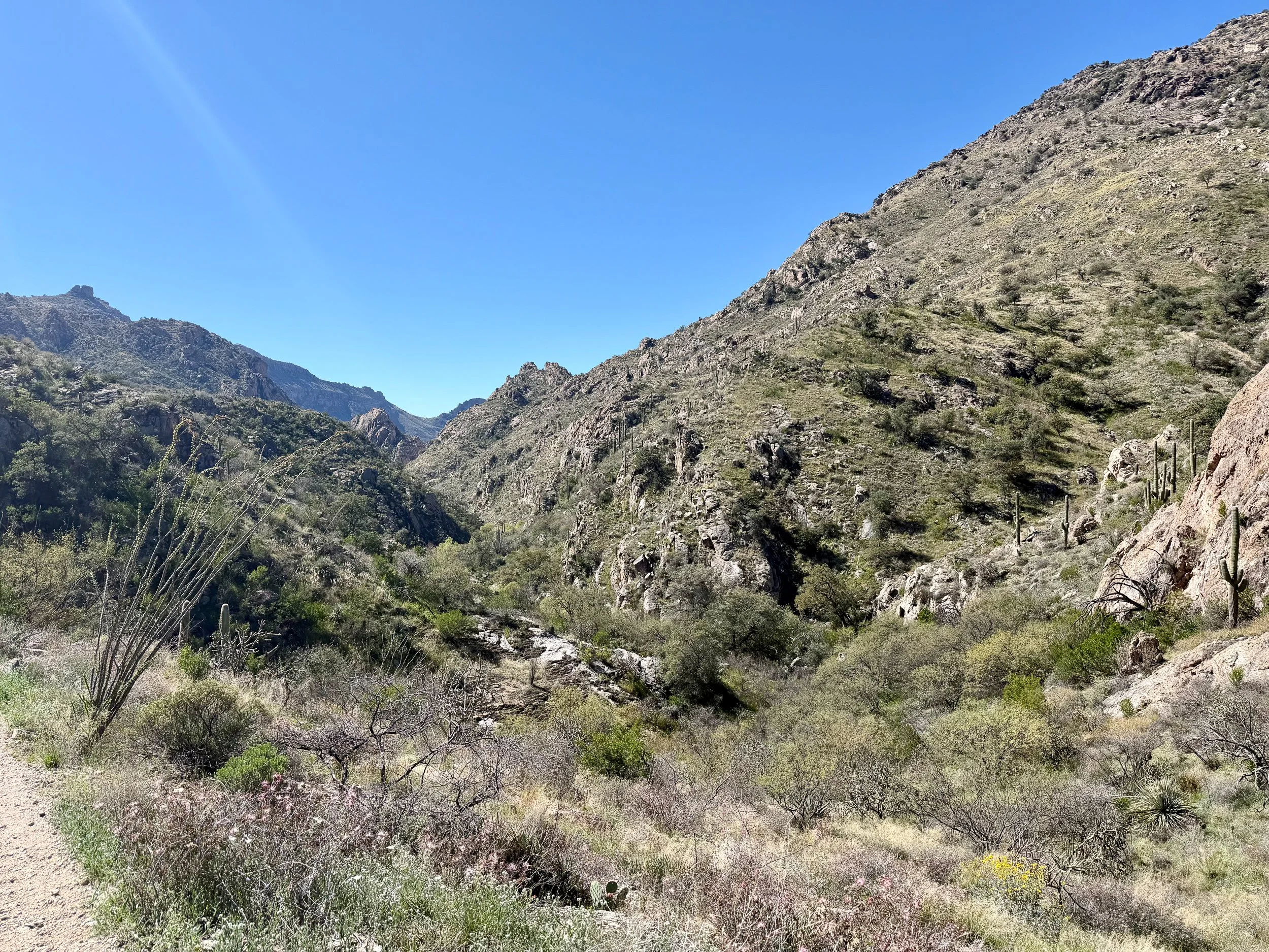  Molino Basin heading up to Mount Lemmon 