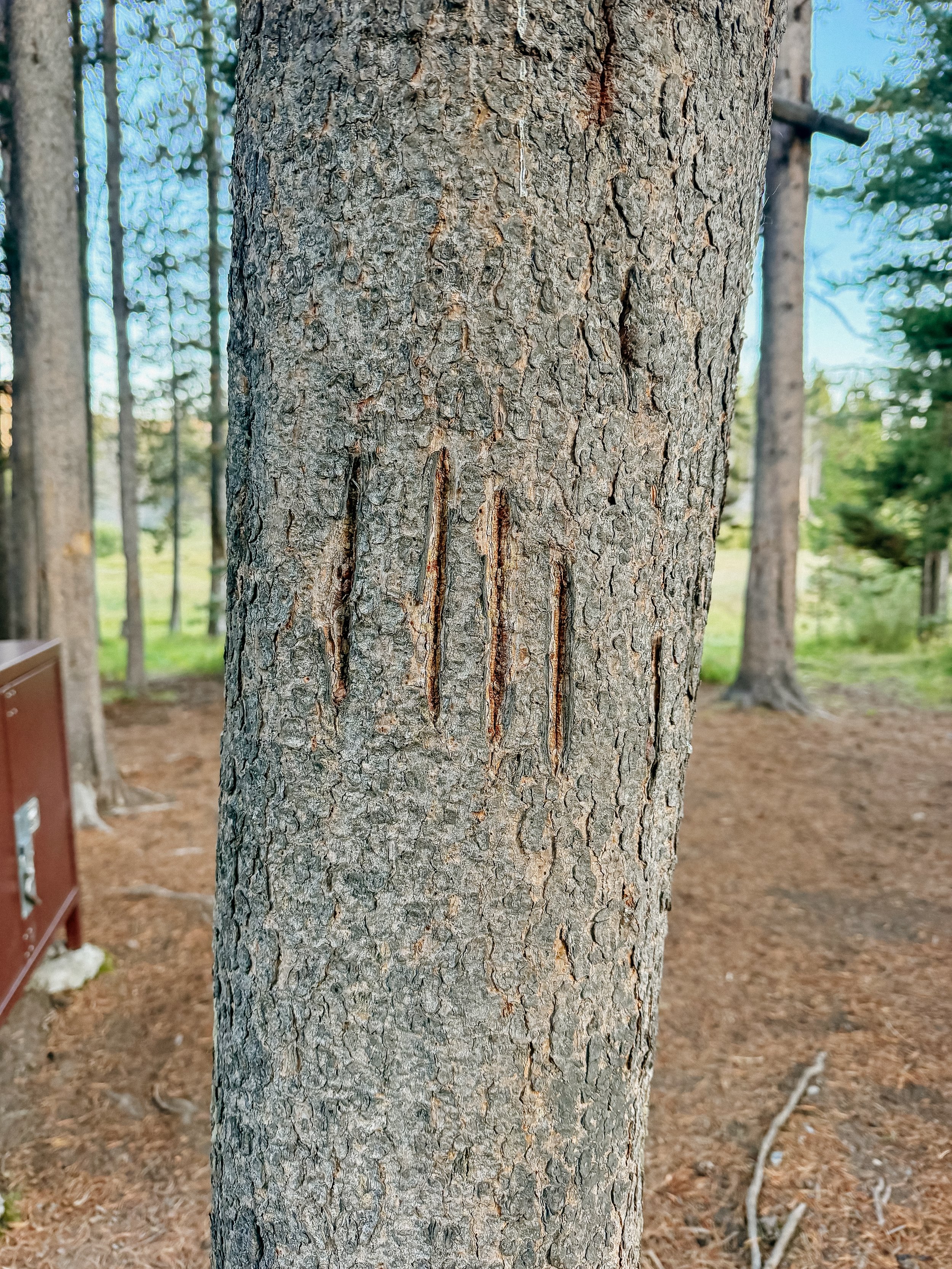 08-WITWIL-00016.jpg