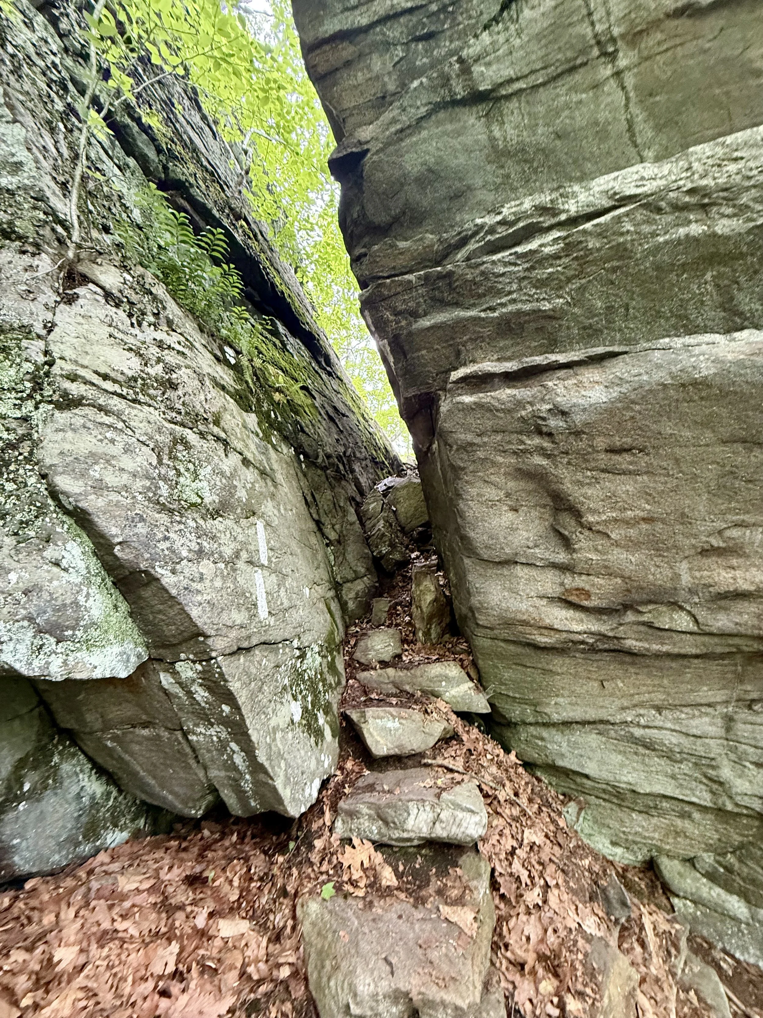  Another tight squeeze 