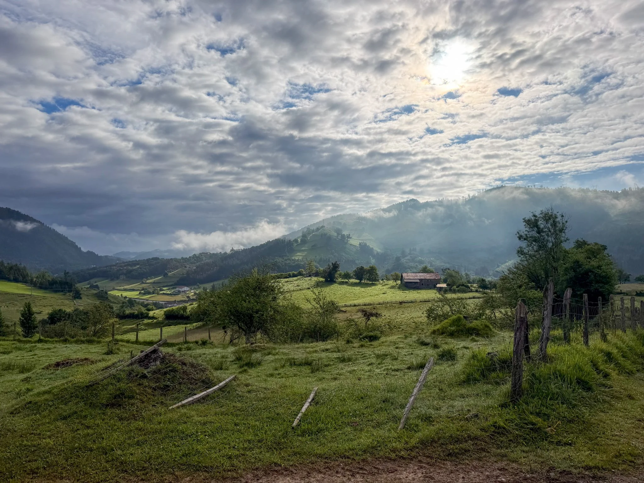 Farm views