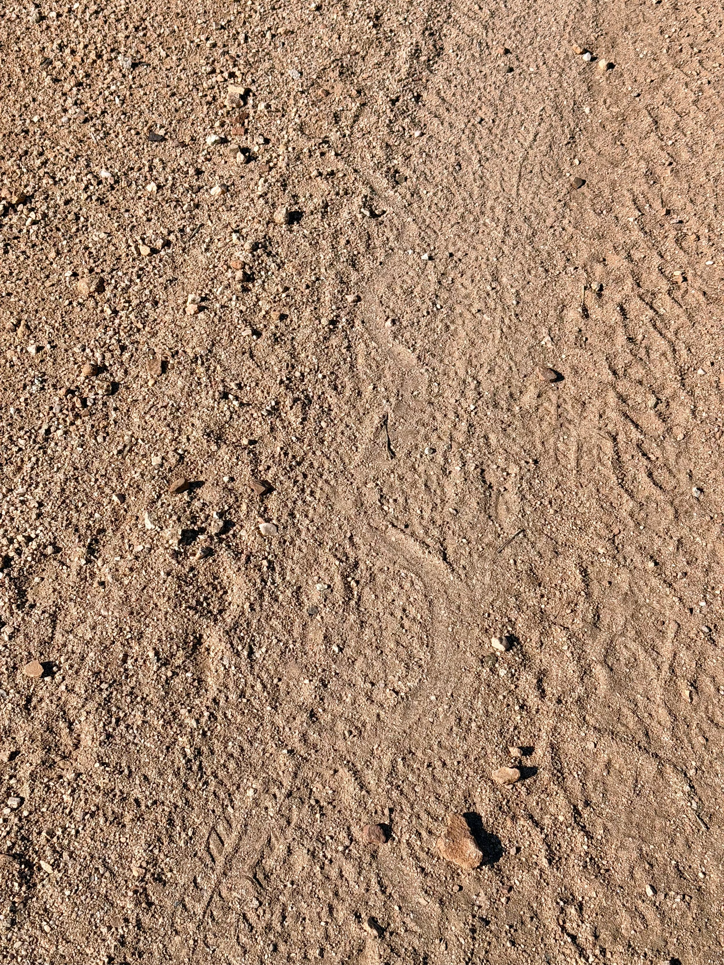  Trails of my nemesis 