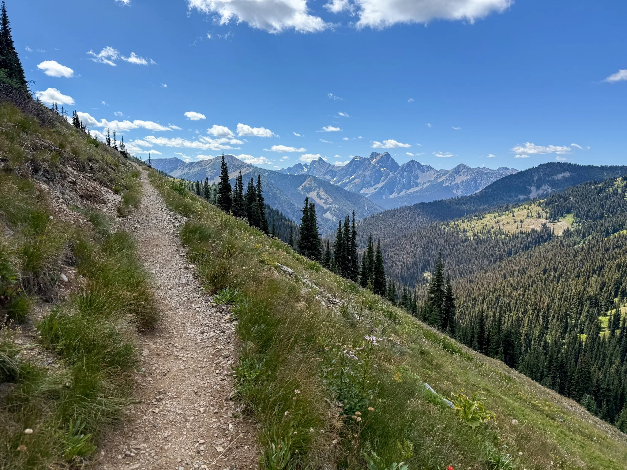  This section is everything 