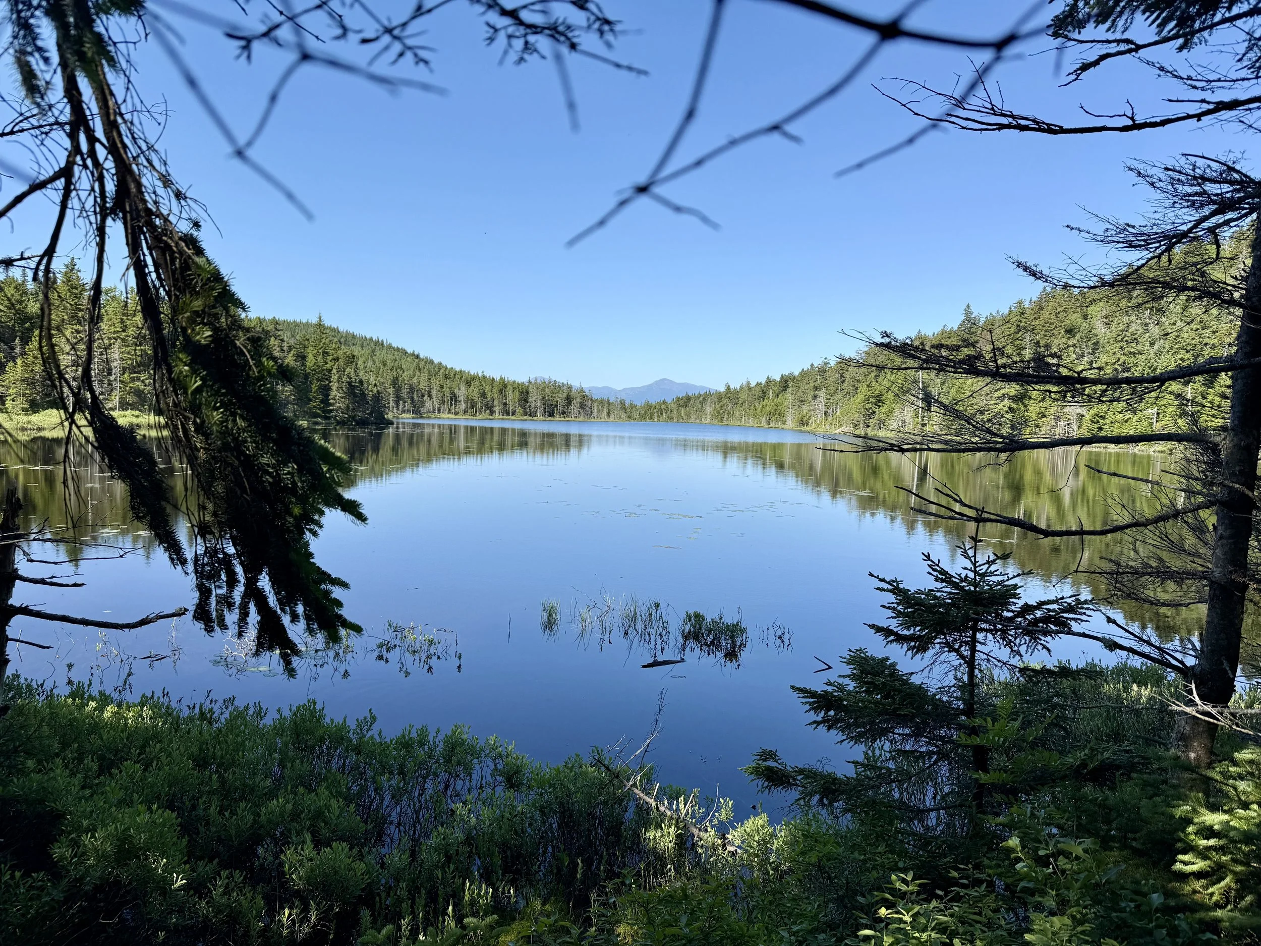  Dream Lake was in fact a dream 