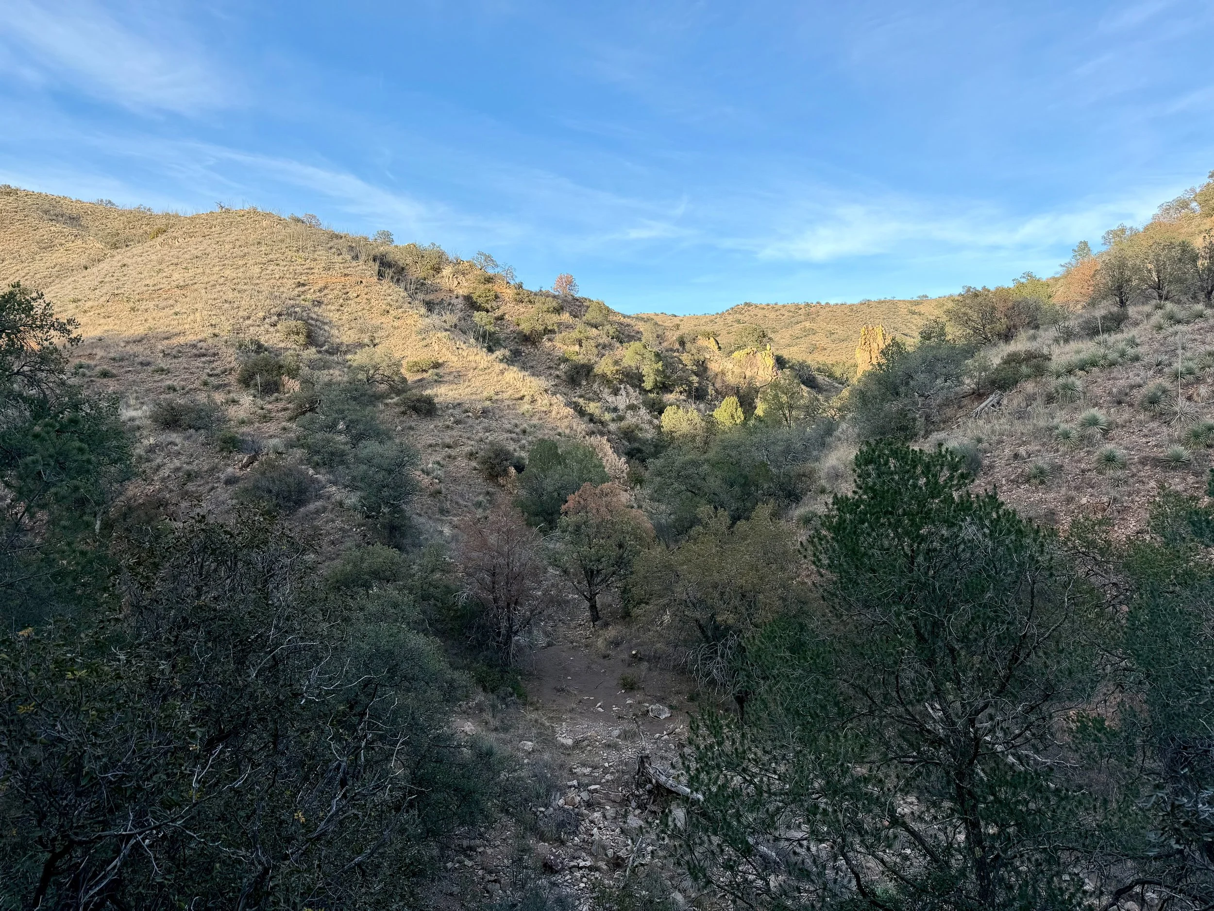  Canyon views on the AZT 