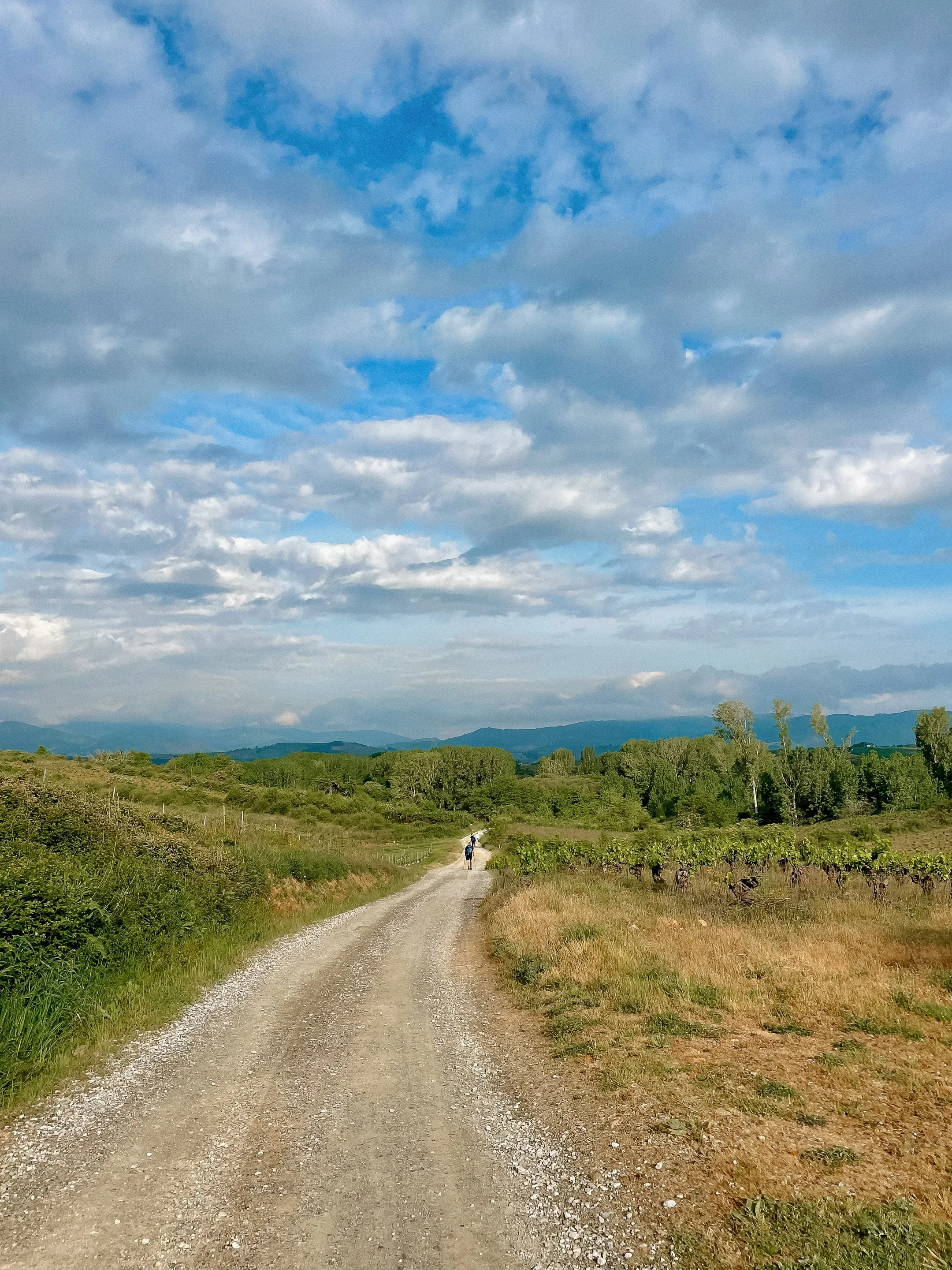 Open views