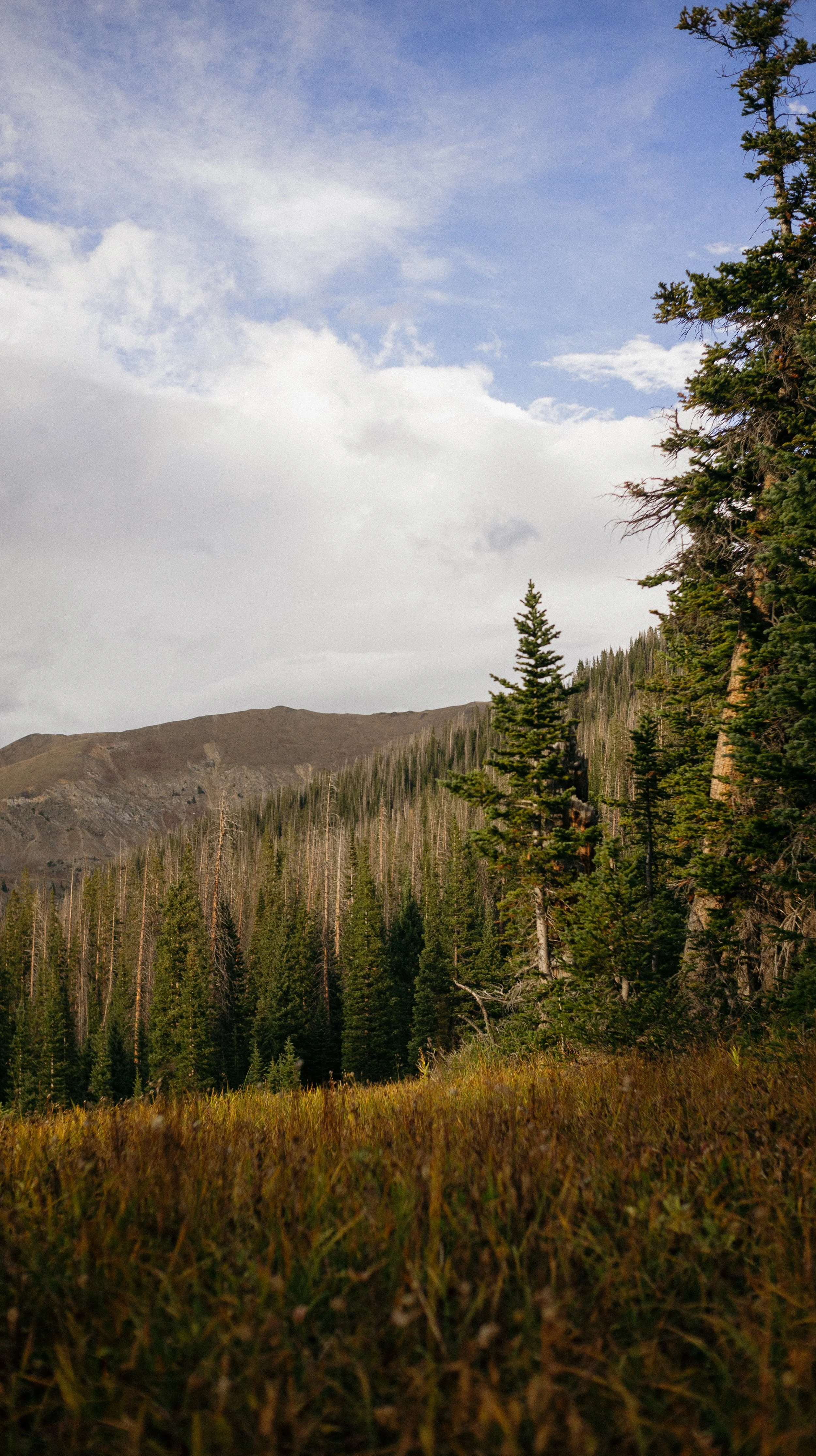 Near Rocky Mountain