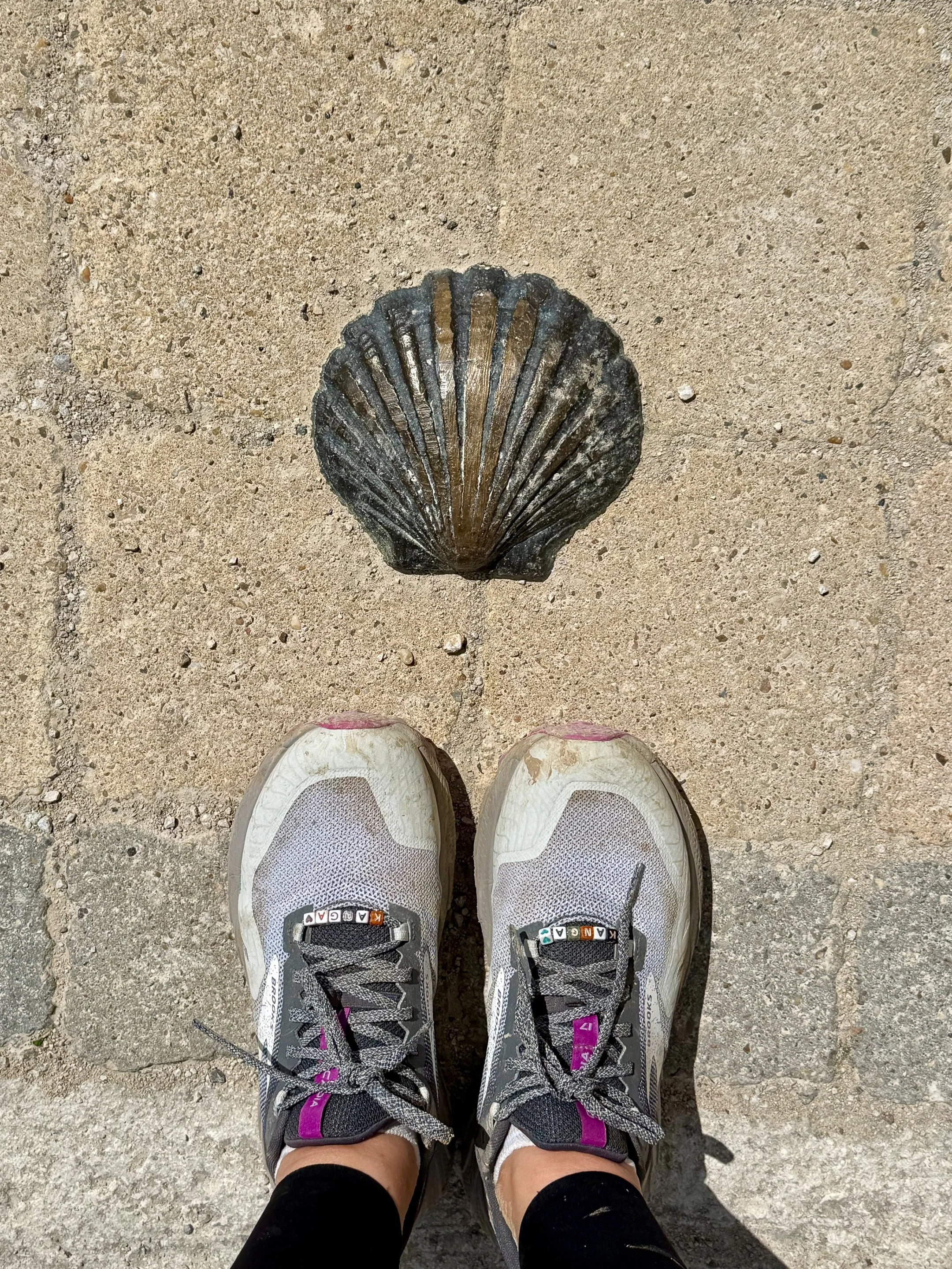 The shell theme on the Camino continues