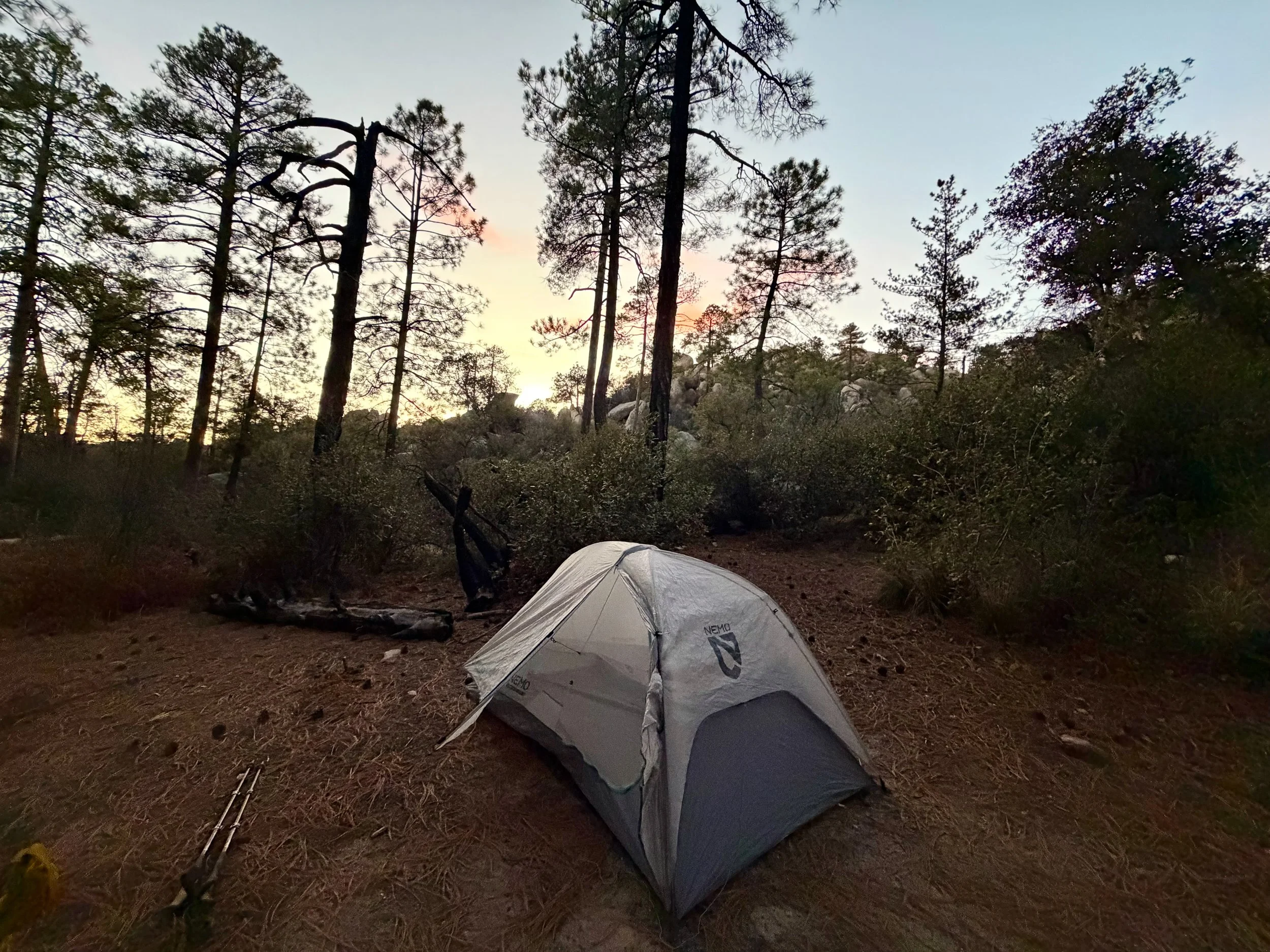  Quiet campsite near the top of Mount Lemmon 