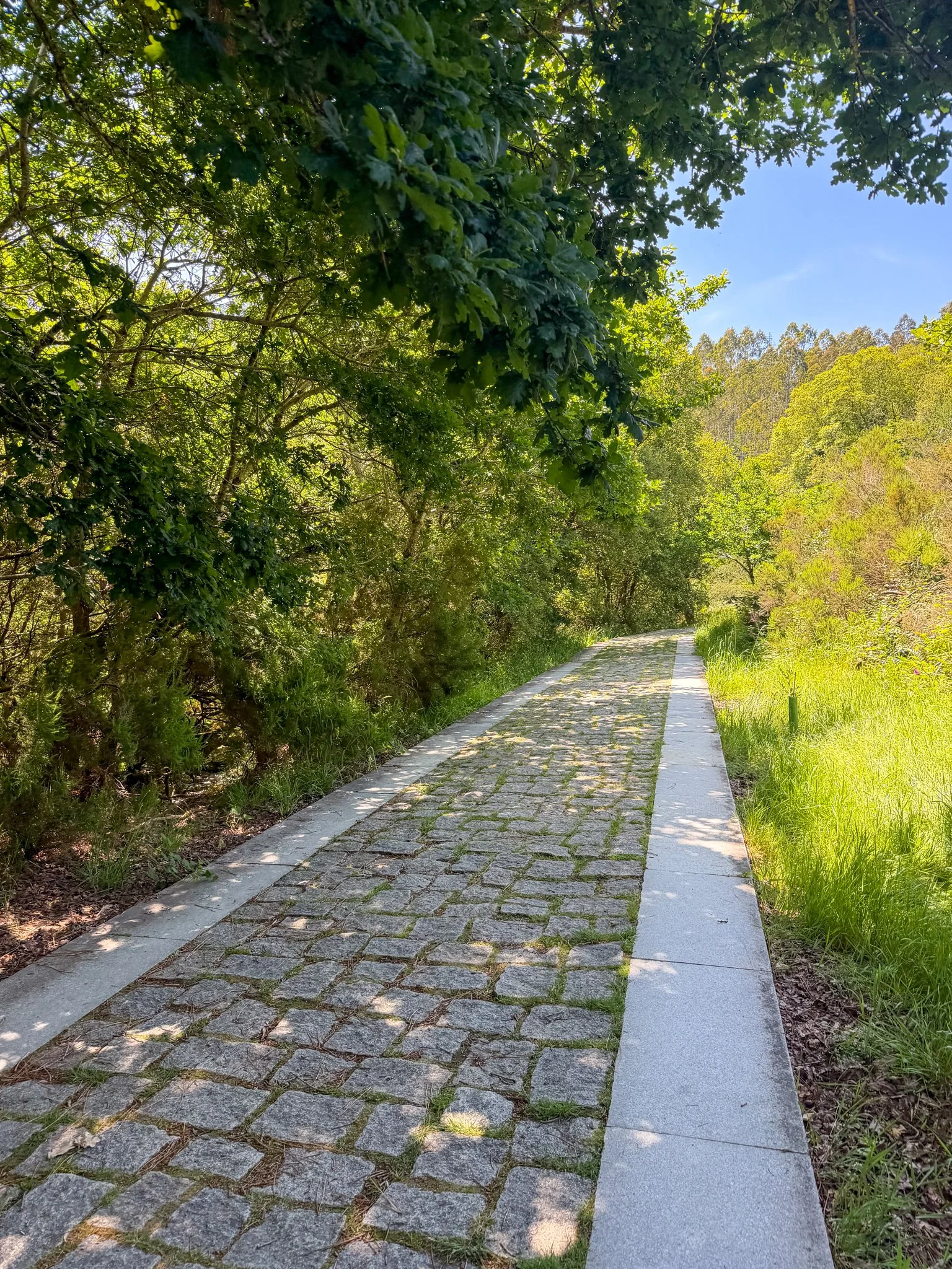 Finisterre path