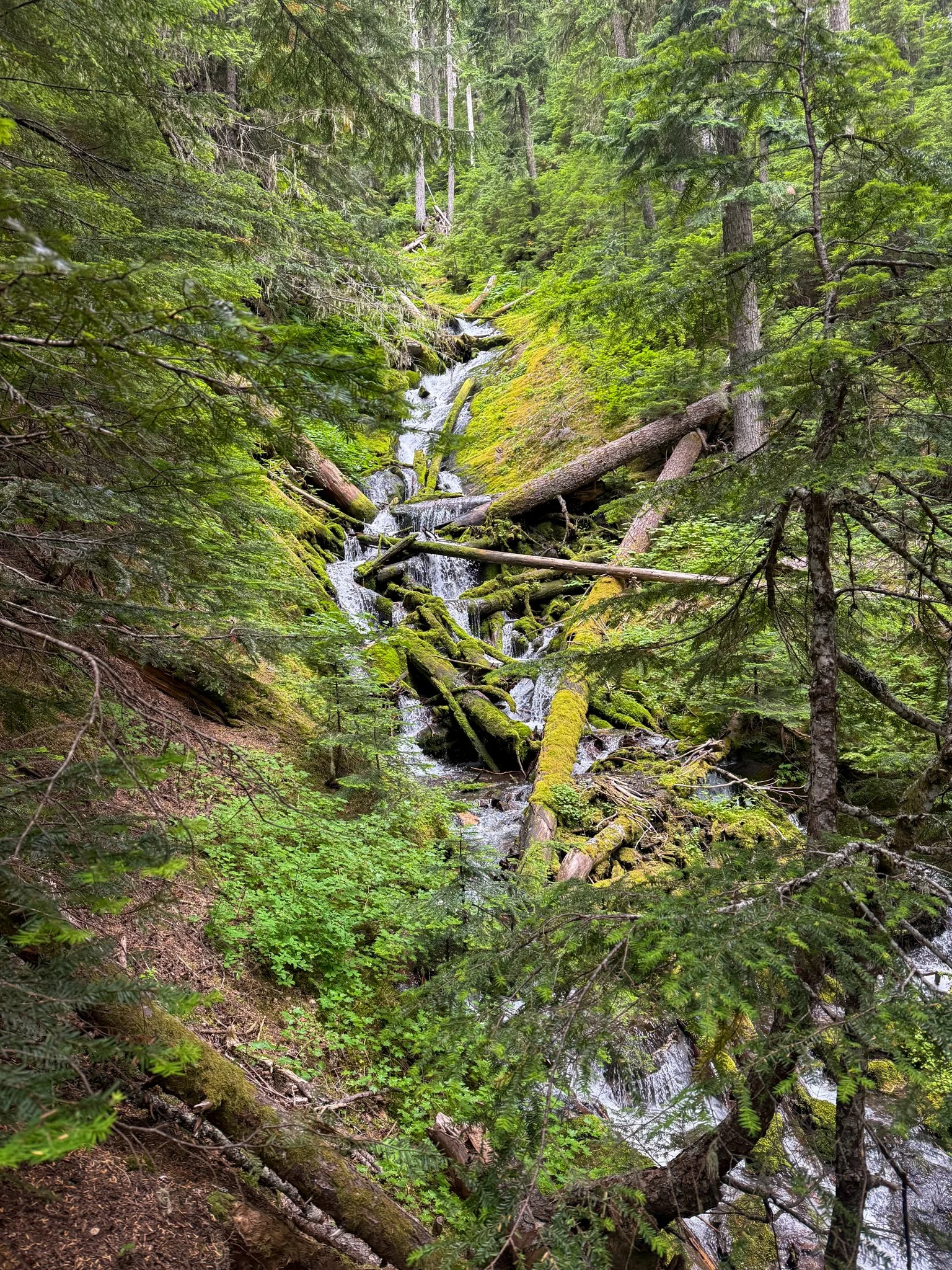  Section K had amazing views.  