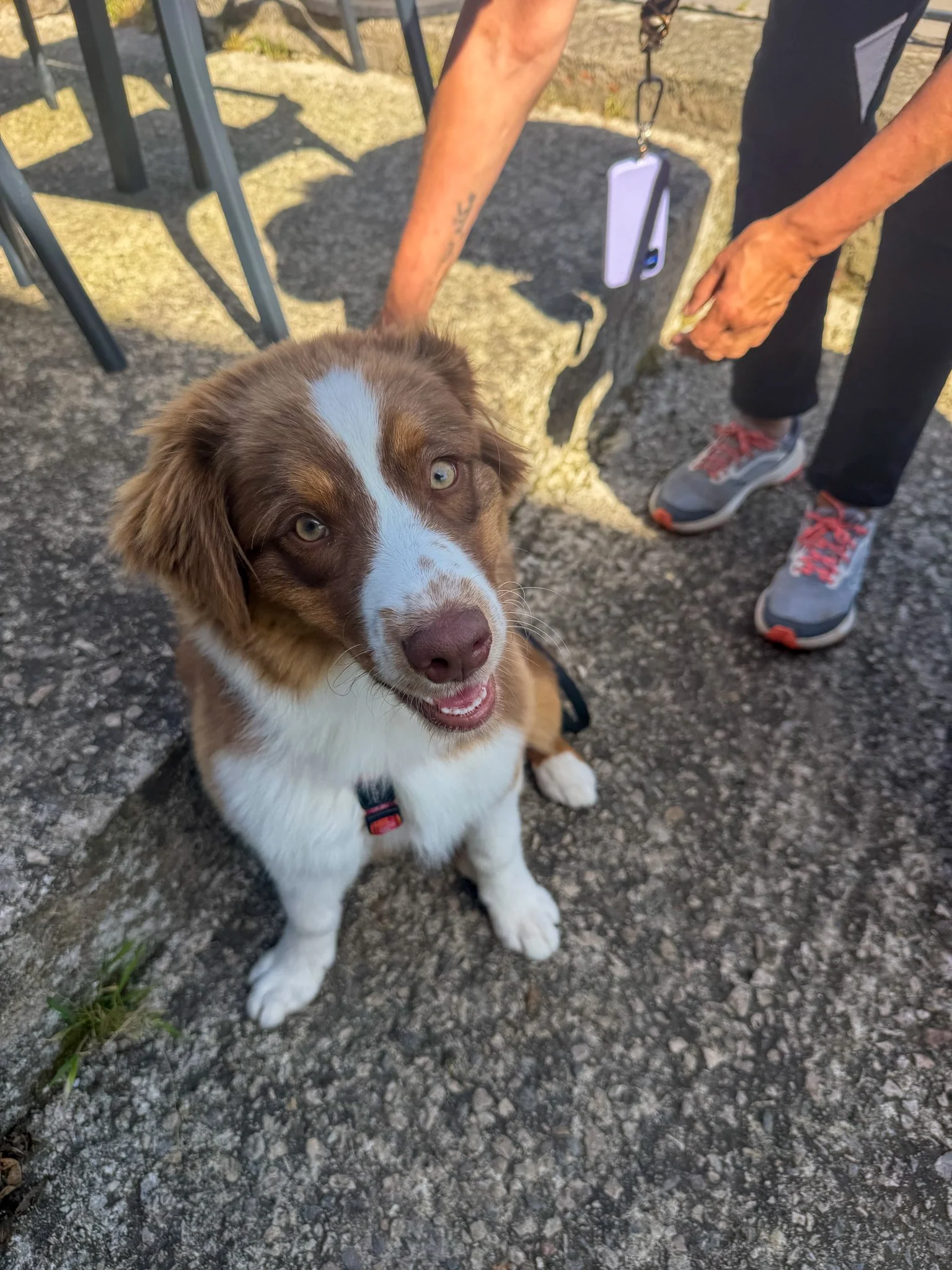 Looks like my girl, Roo!
