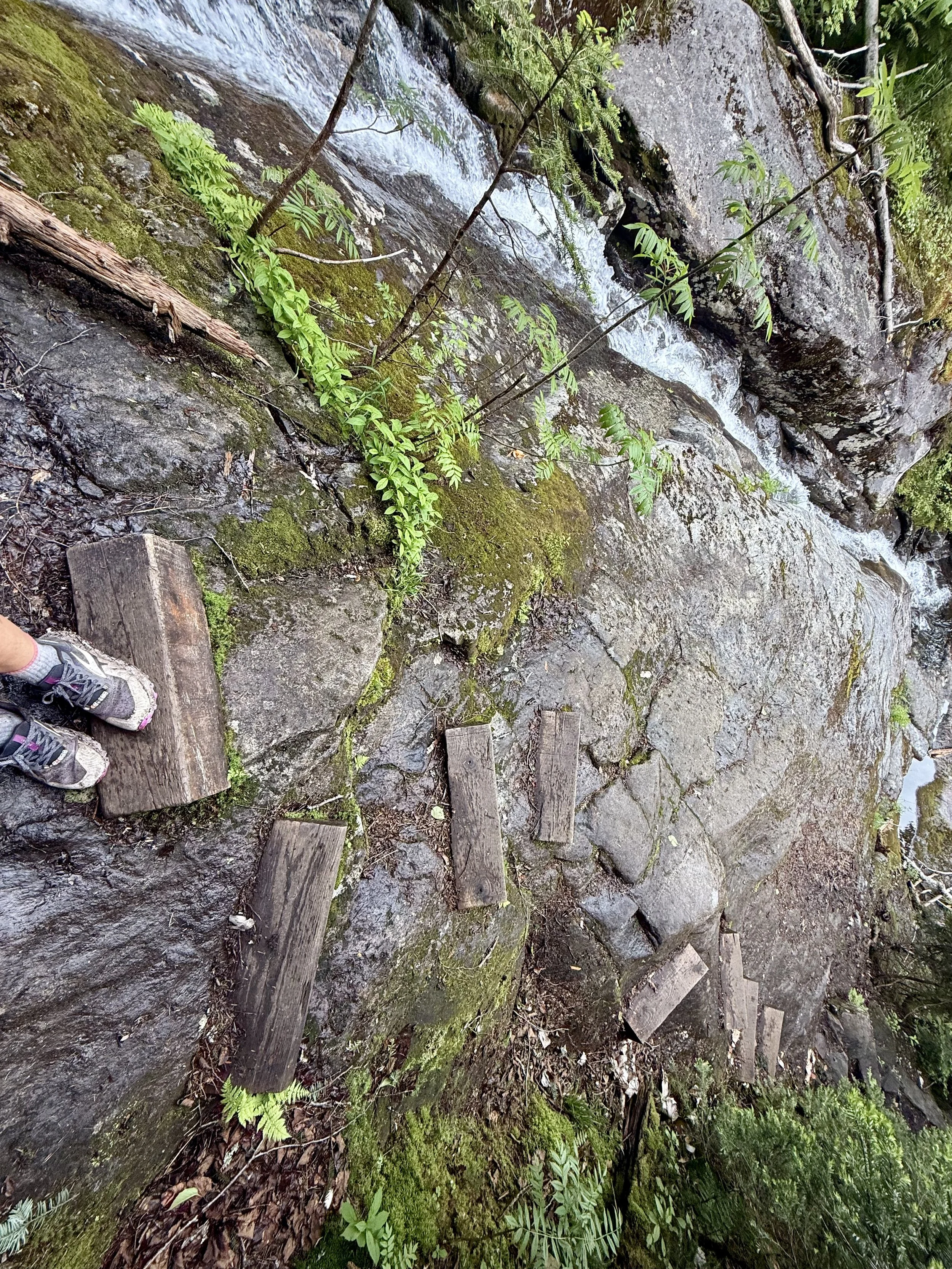  The Beaver Brook trail down Mount Moosilauke with the wooden stairs… 