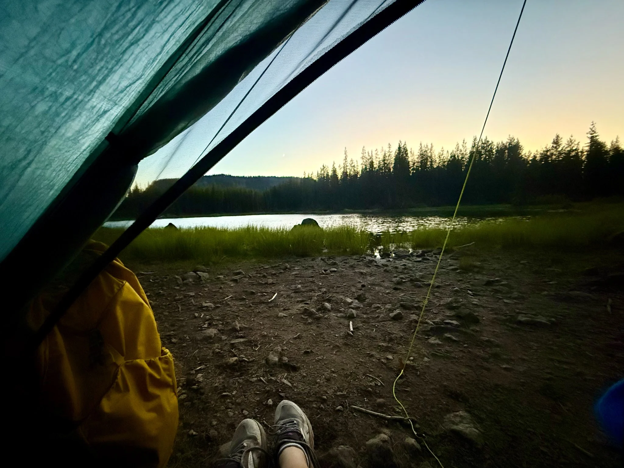  PCT OR &amp; WA Section F for a quick overnight on the way to Bags’ house. I camped here after my 40 mile day in 2024. 