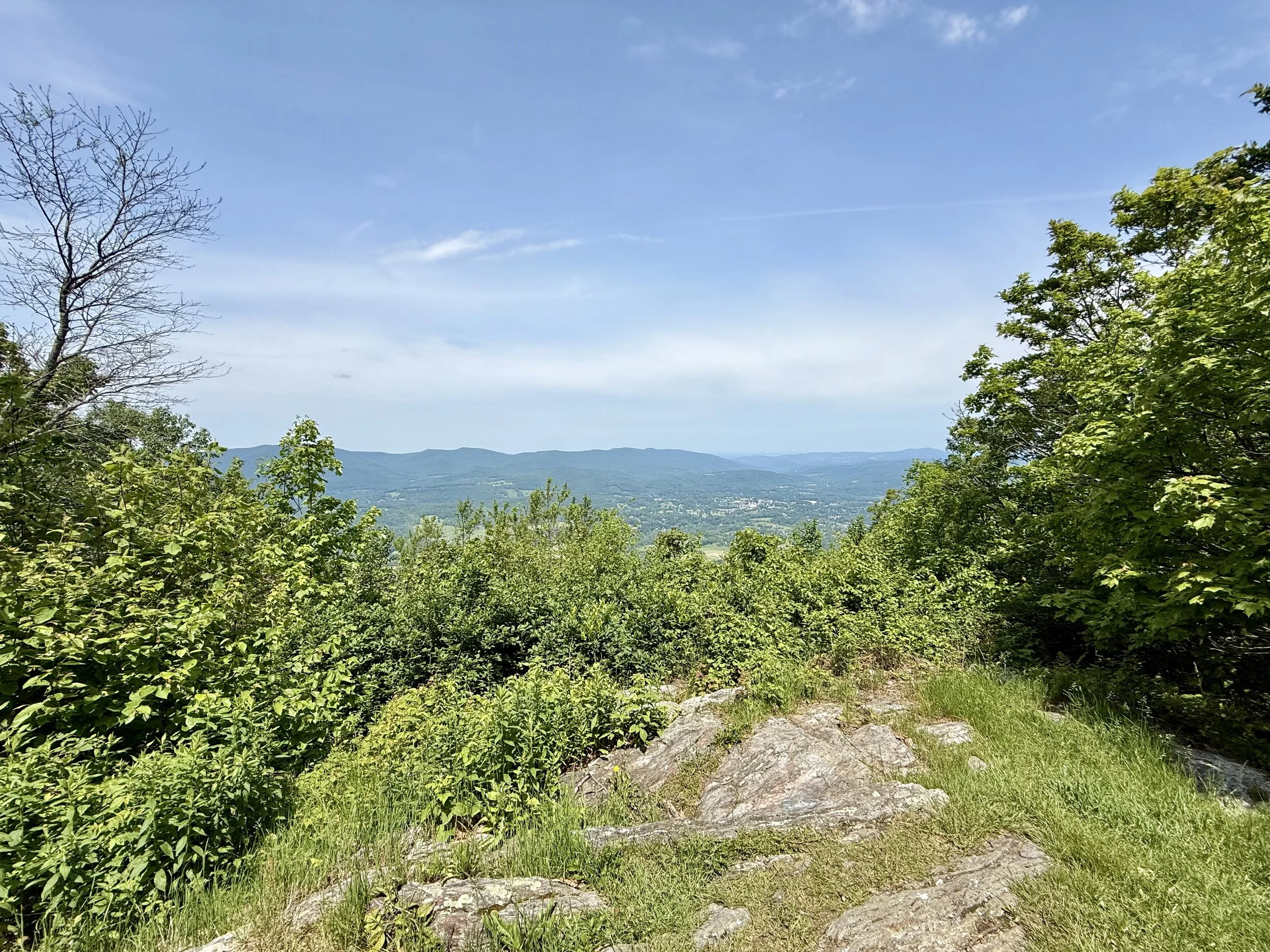  Near the top of Mount Greylock 