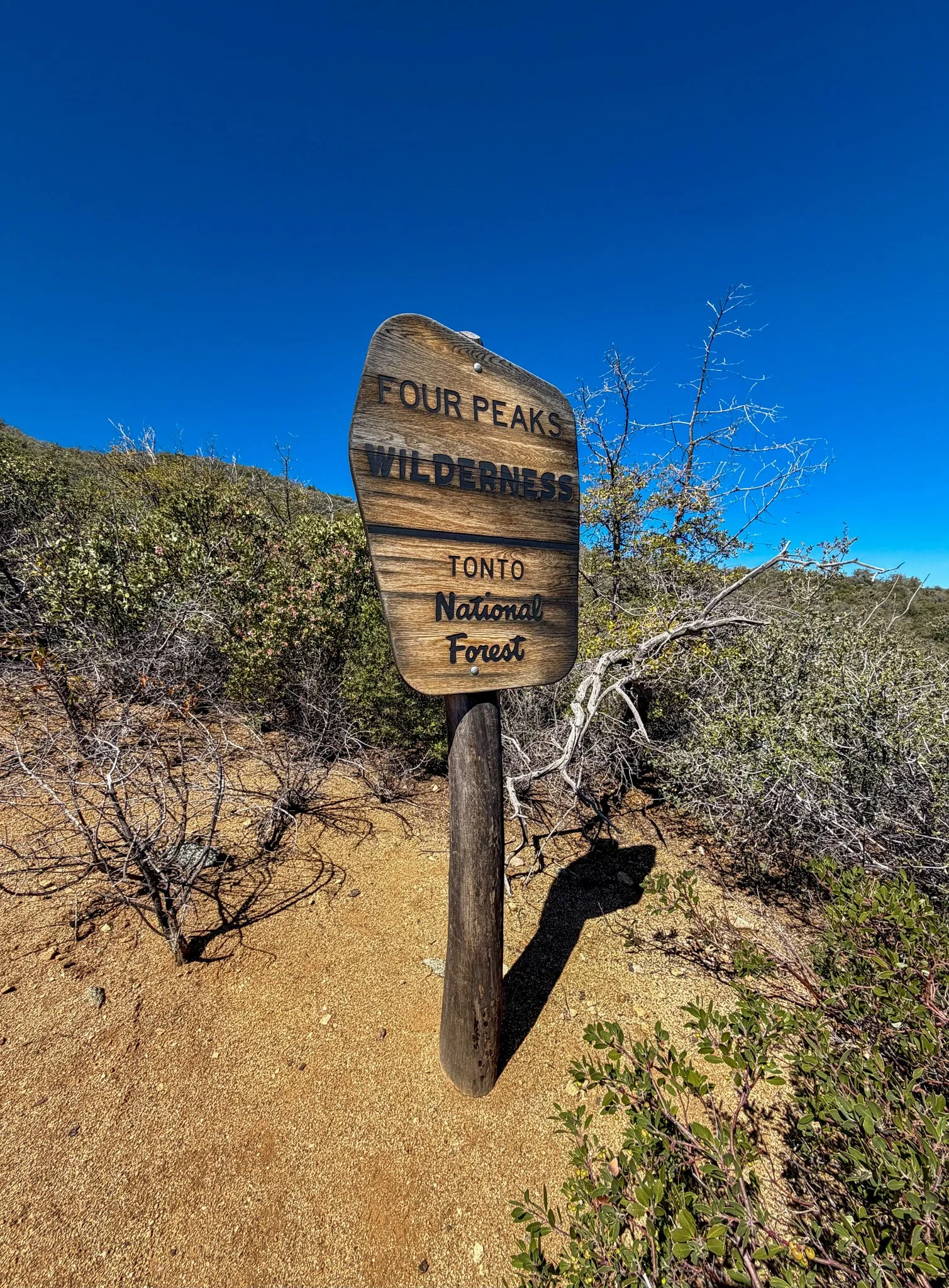  Entering Four Peaks Wilderness on the Arizona Trail 
