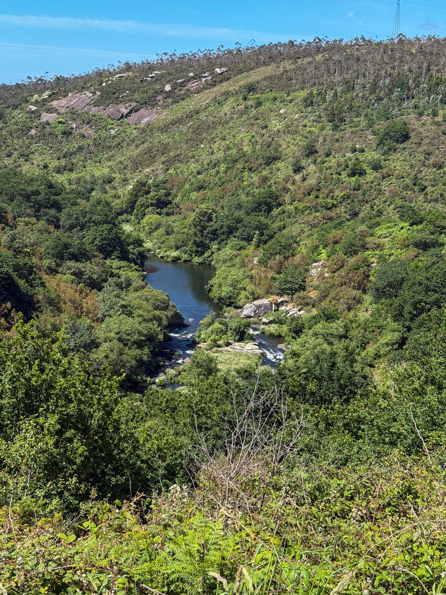 Some wild parts of the trail