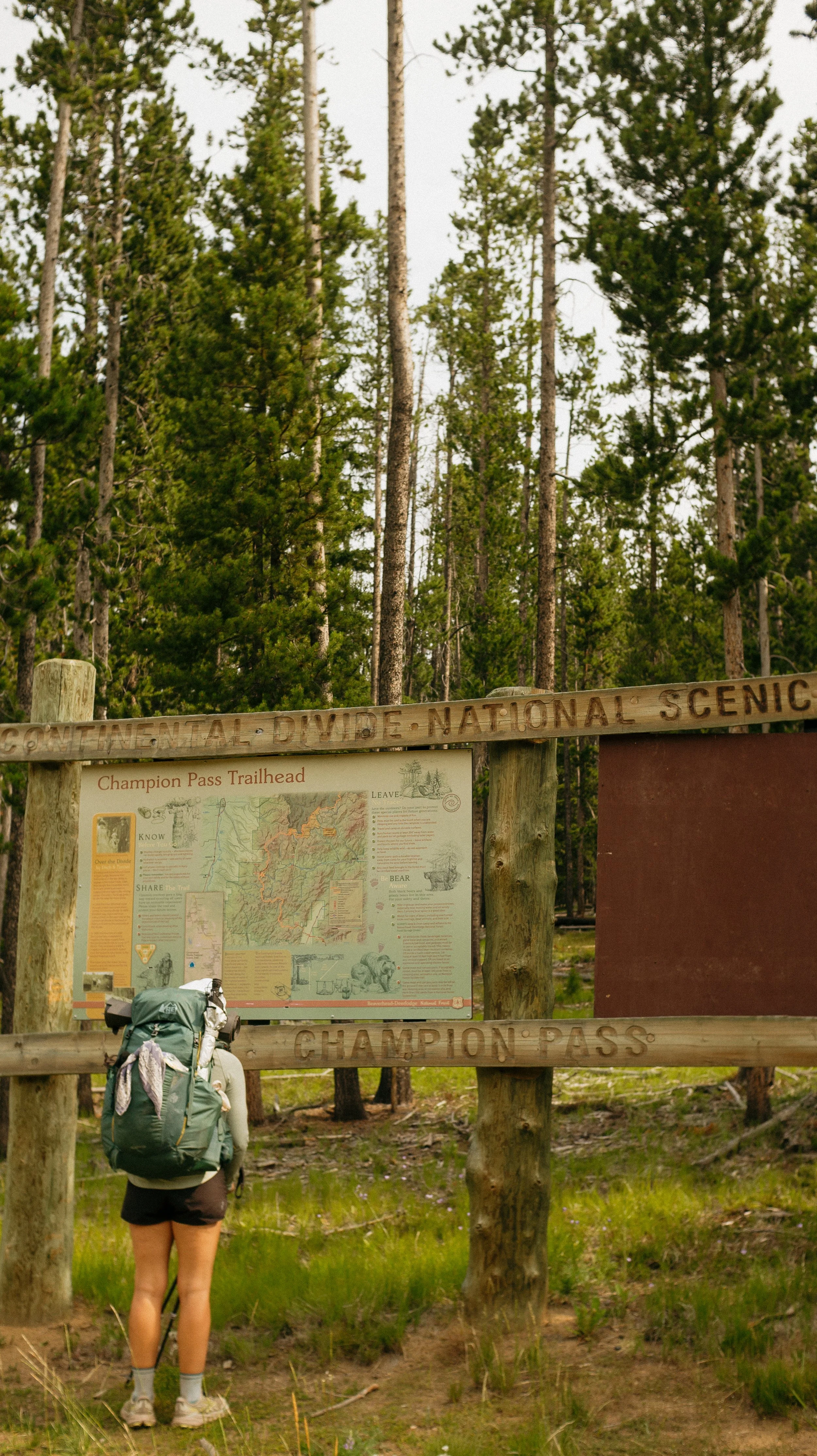 13-WITWIL-01546.jpg