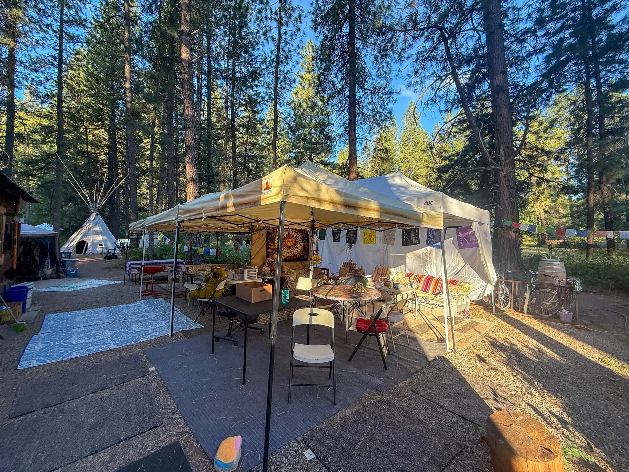  The Lion’s Den hostel was perfect!  