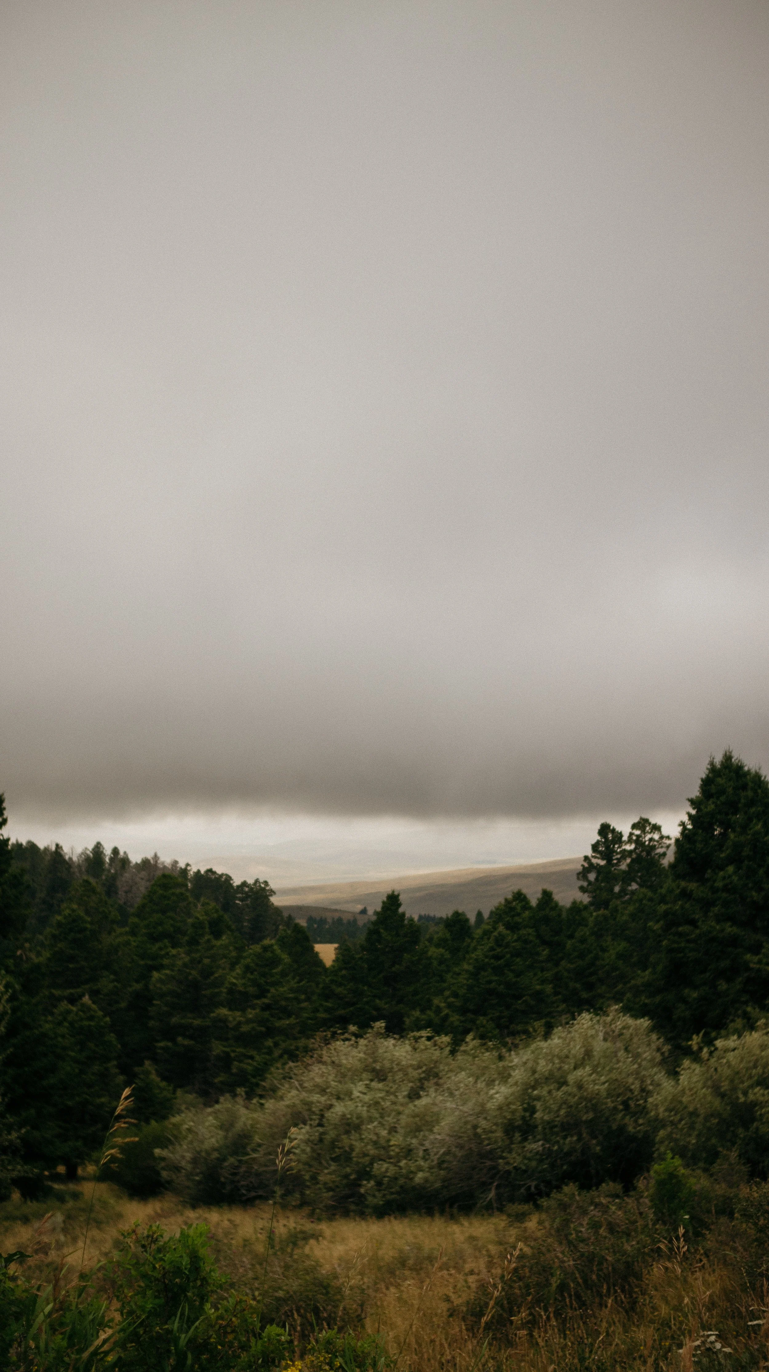 Storm clouds