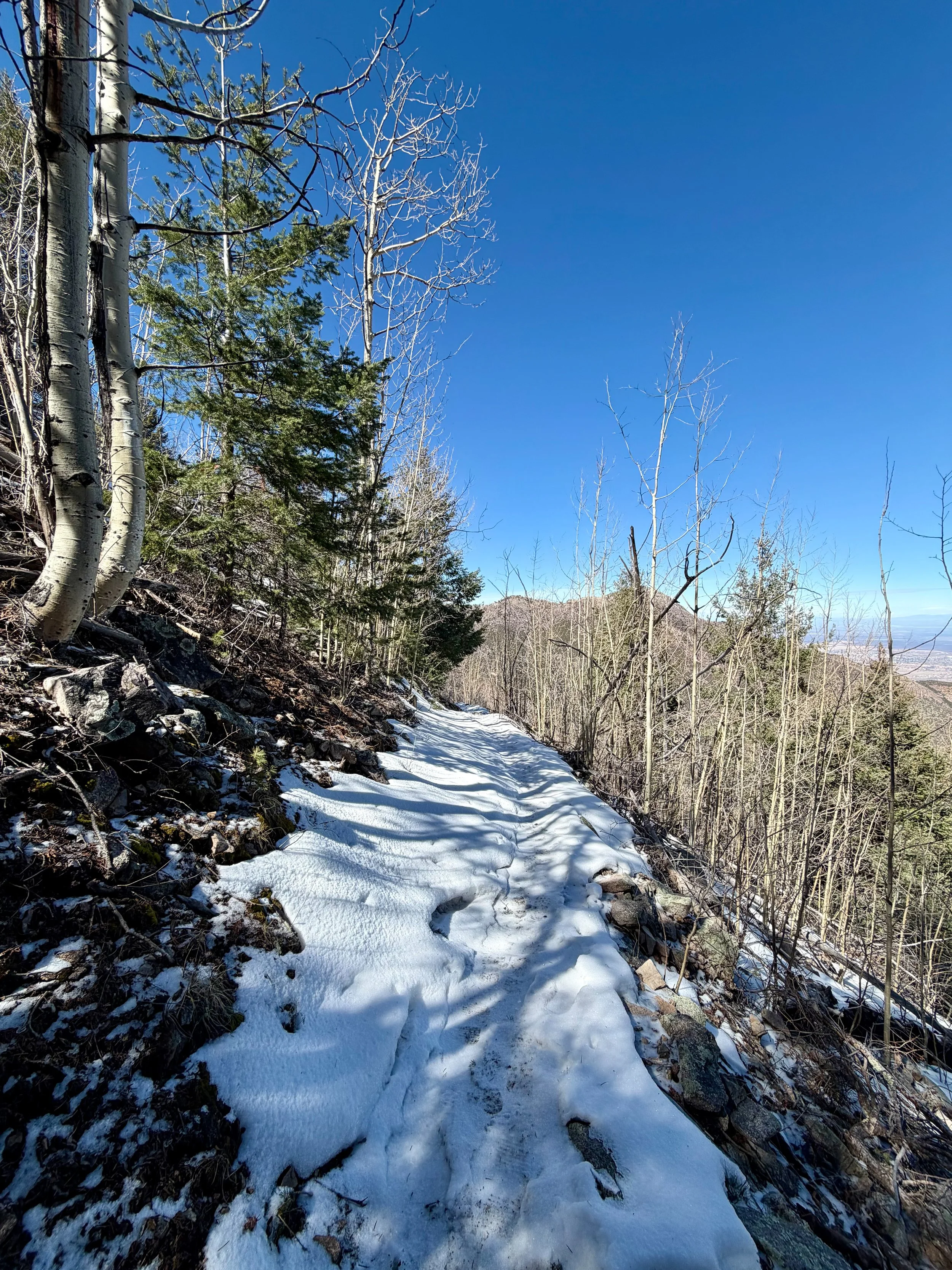  North side of Miller Peak served snow in the desert. 