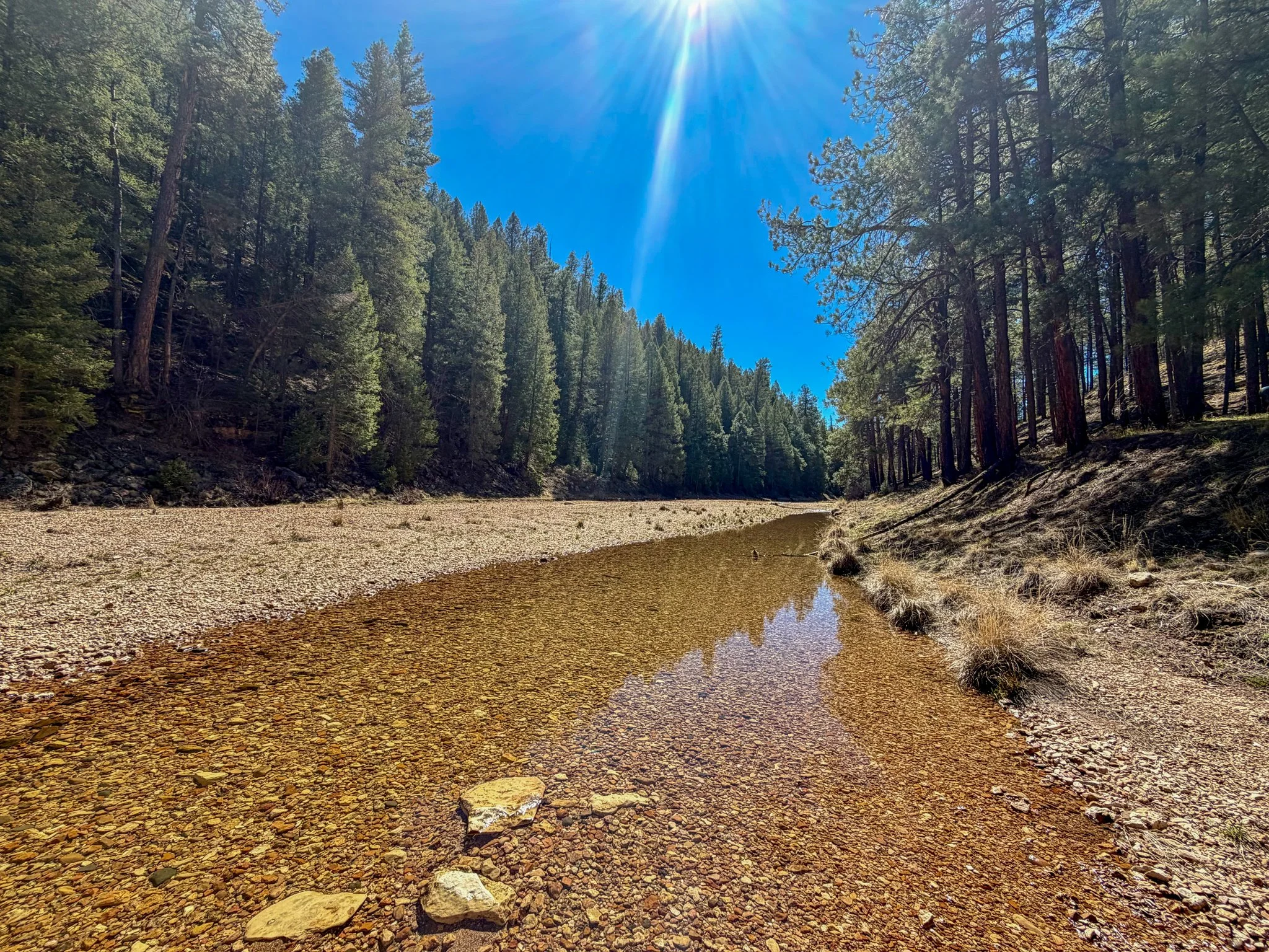  Wonderful water source and lunch spot 