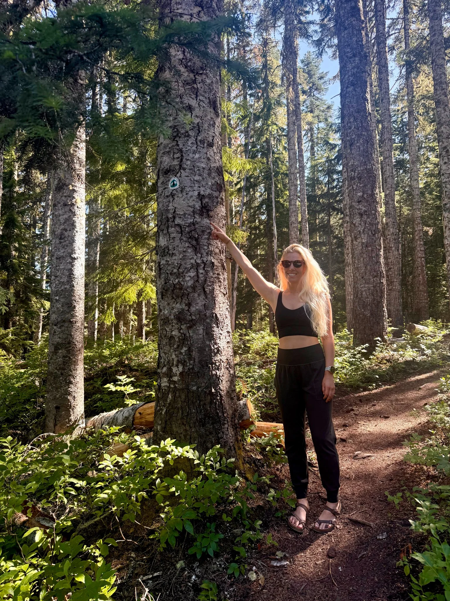  Me at Barlow Pass on the PCT in Oregon. This is a transformational spot that I have visited consistently.  