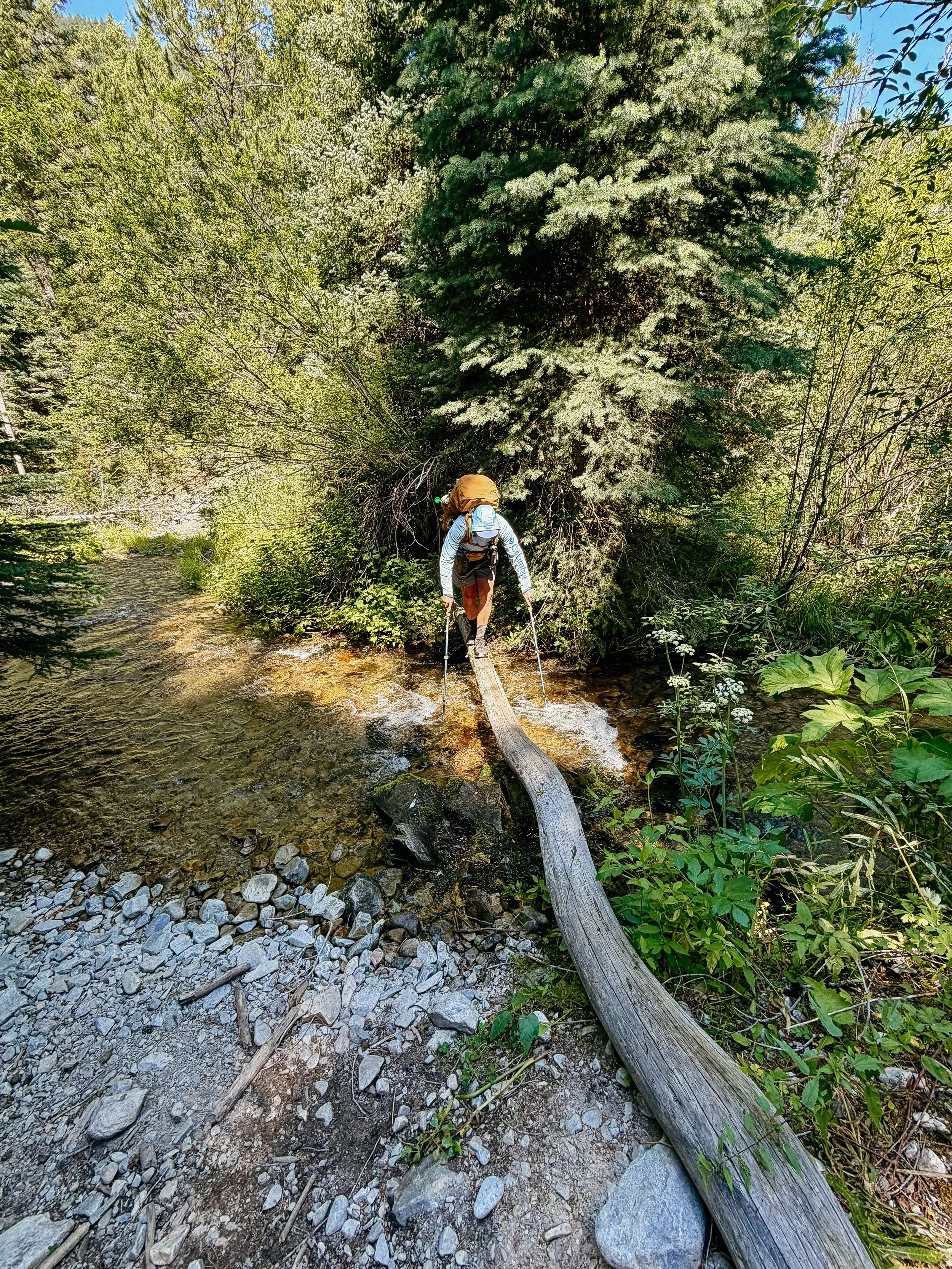 Log crossing