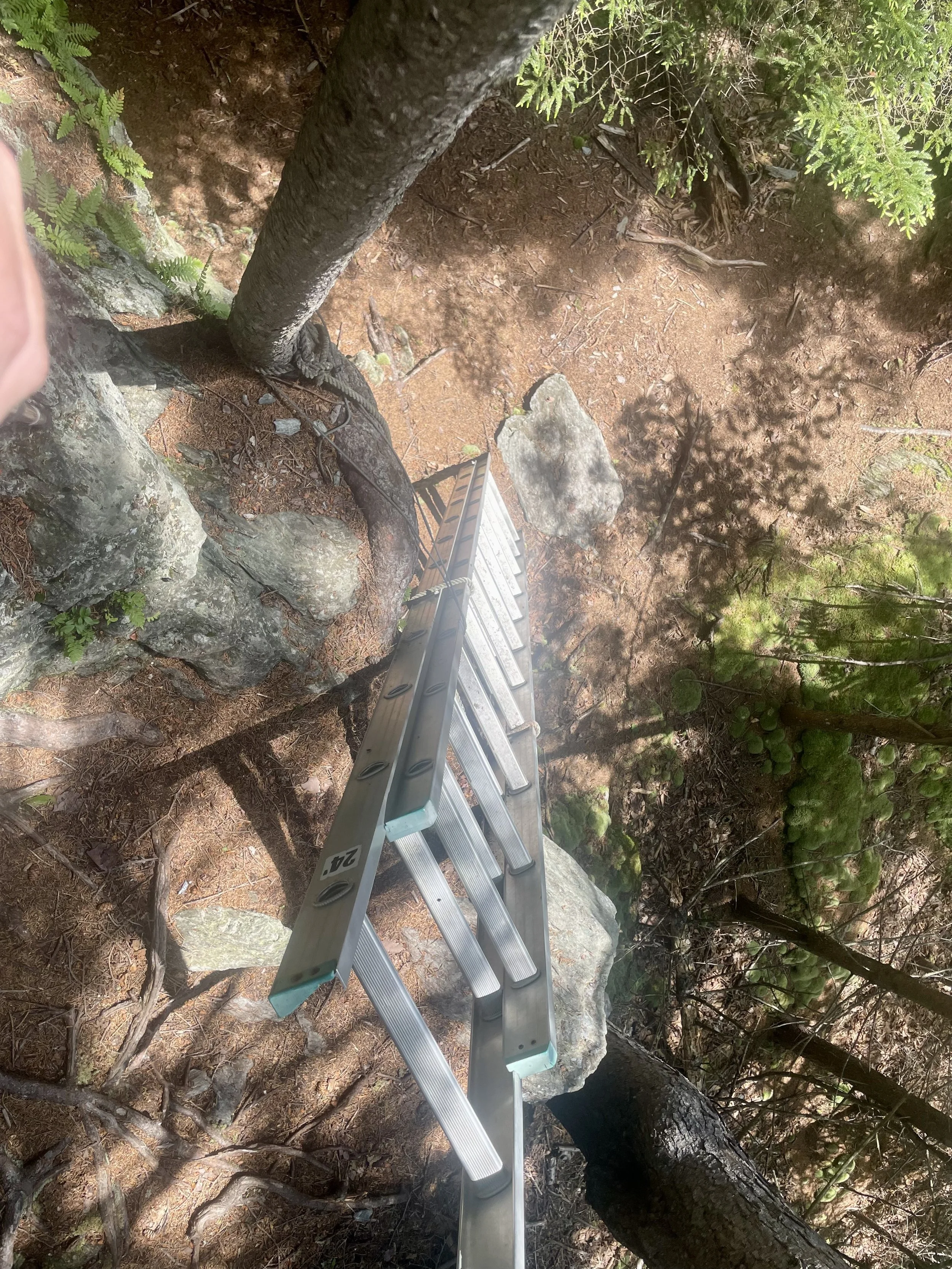  The literal ladder for the trail 
