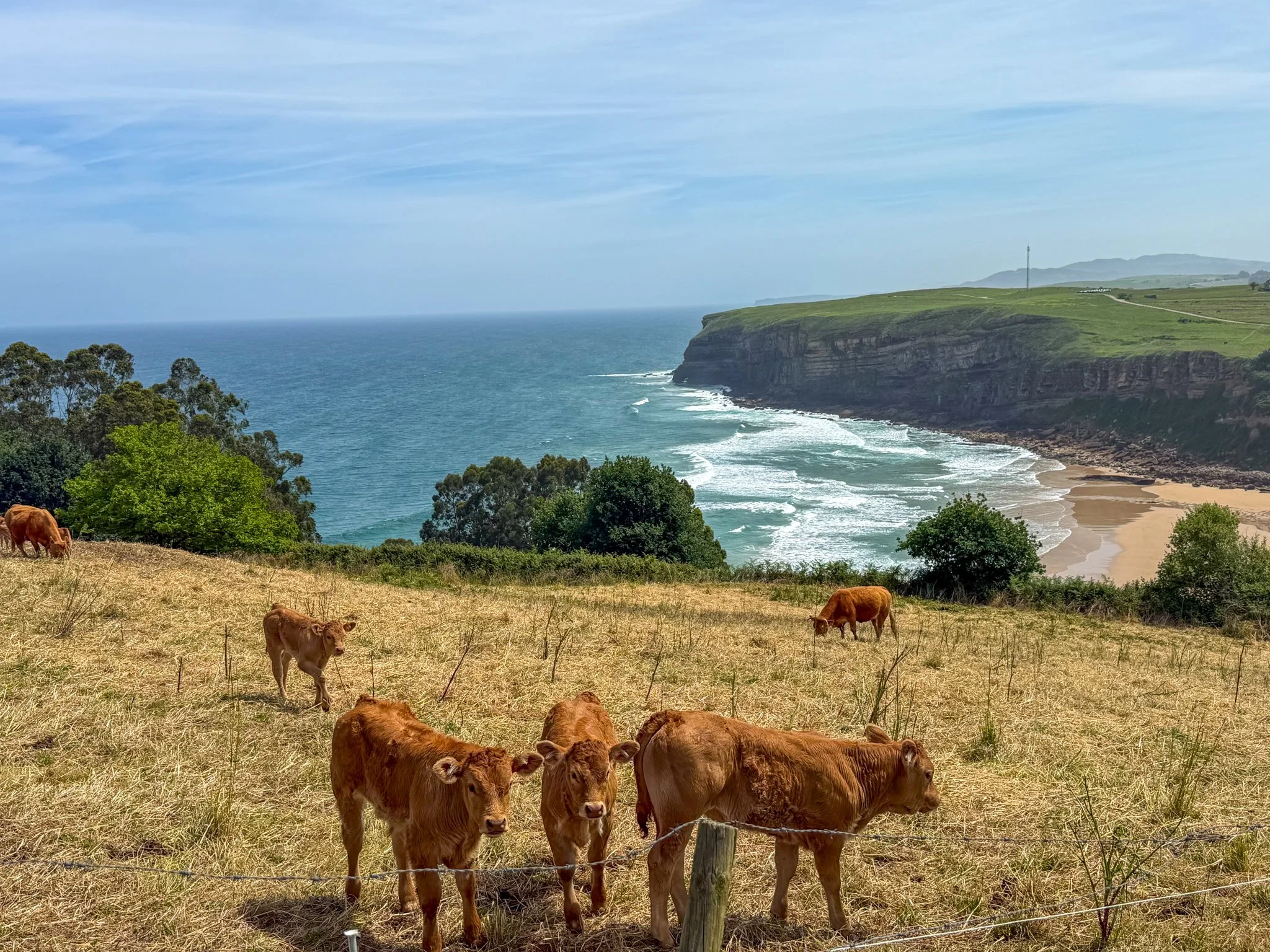 Camino de Santiago del Norte