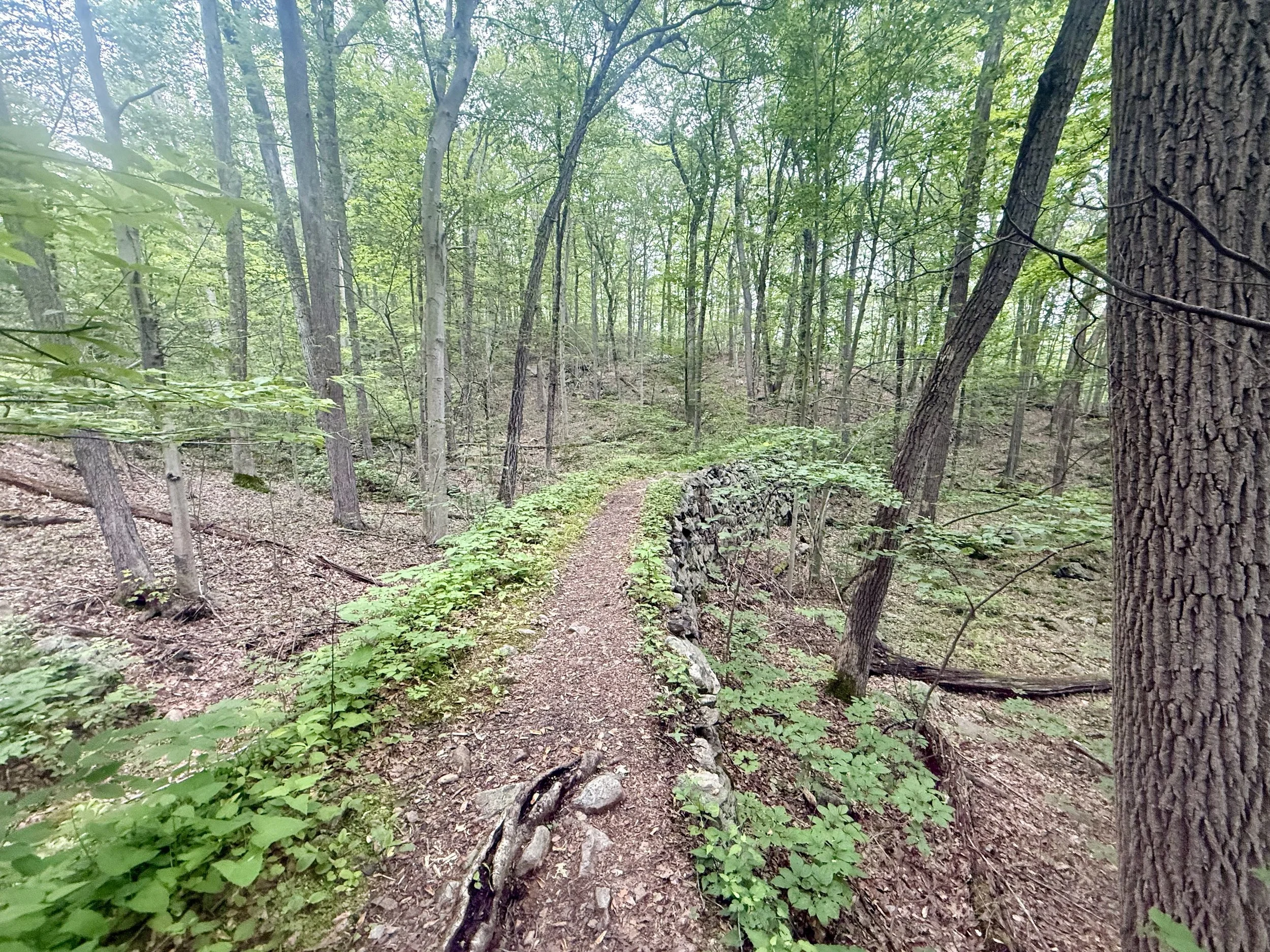  Walking on top of a former property wall 