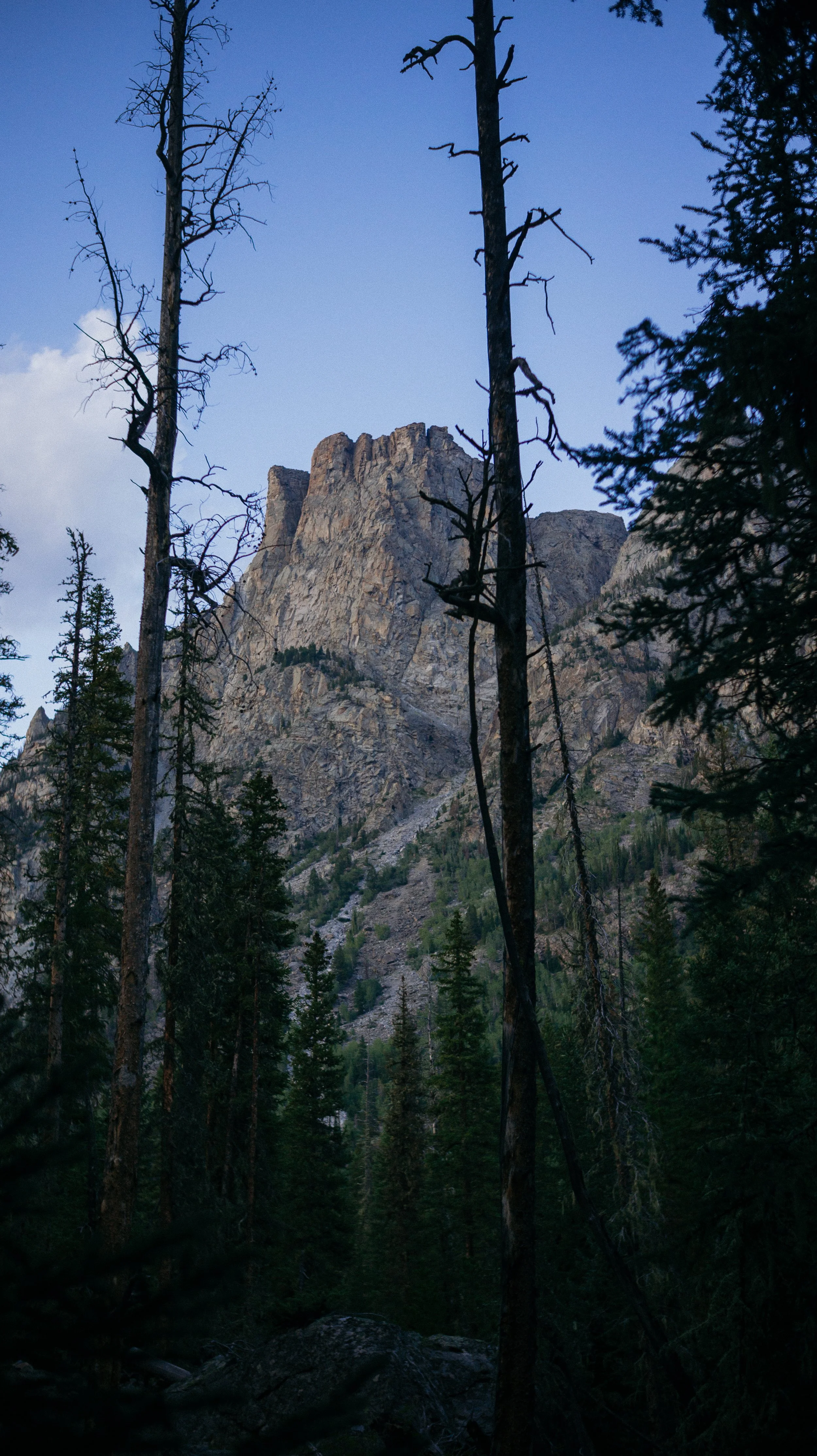 View from my tent
