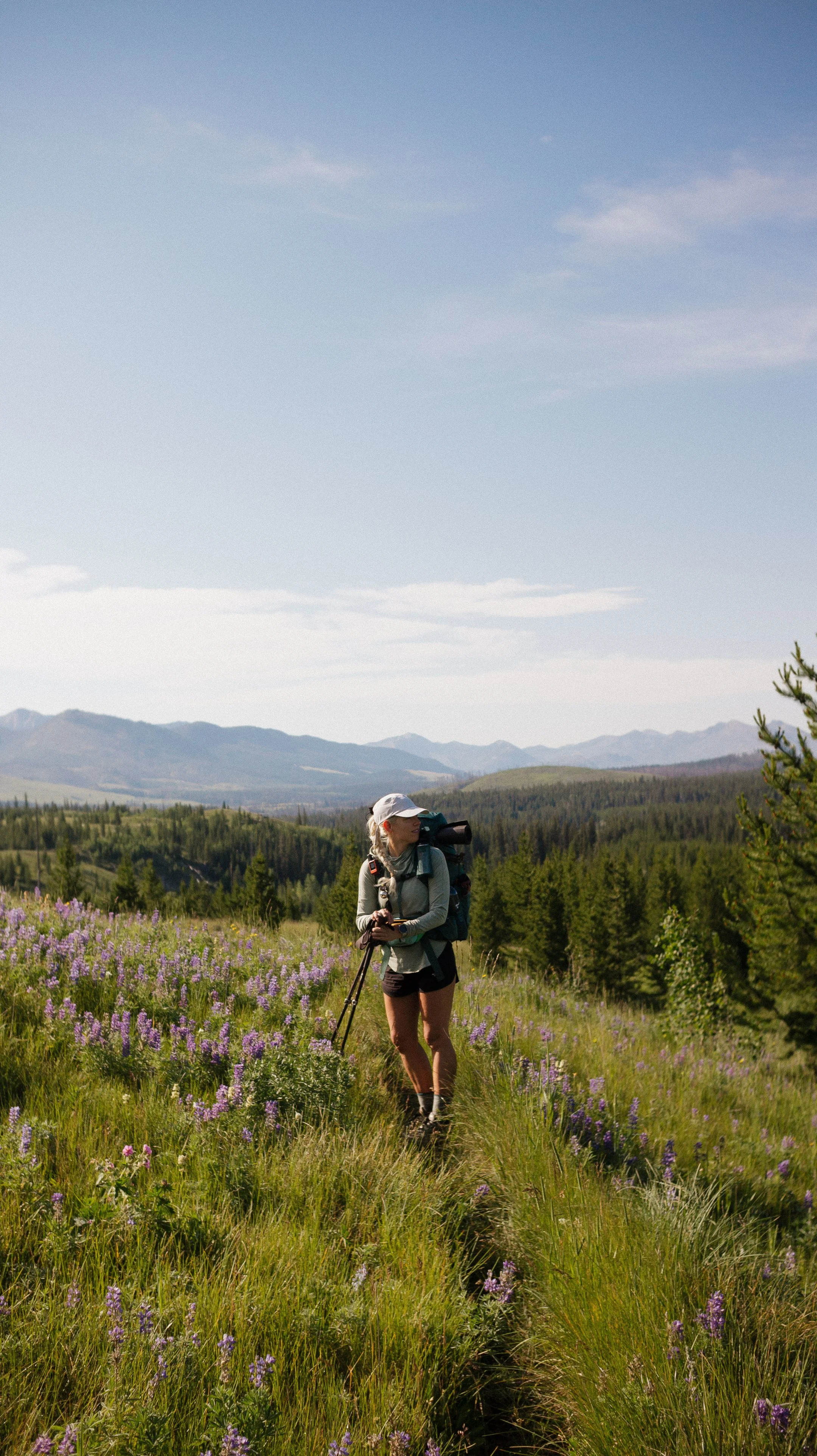 Wild flowers