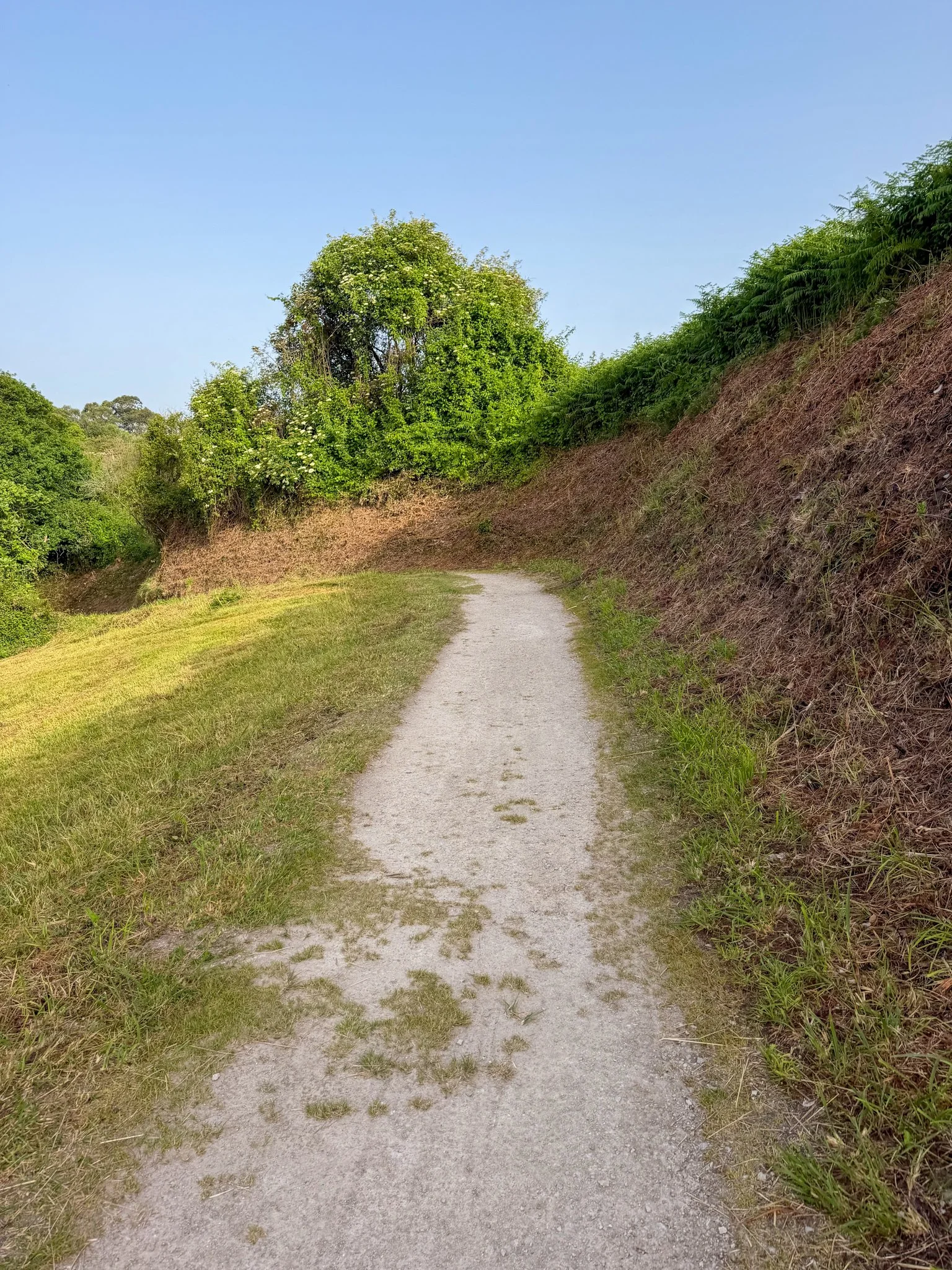 Trail through farmland